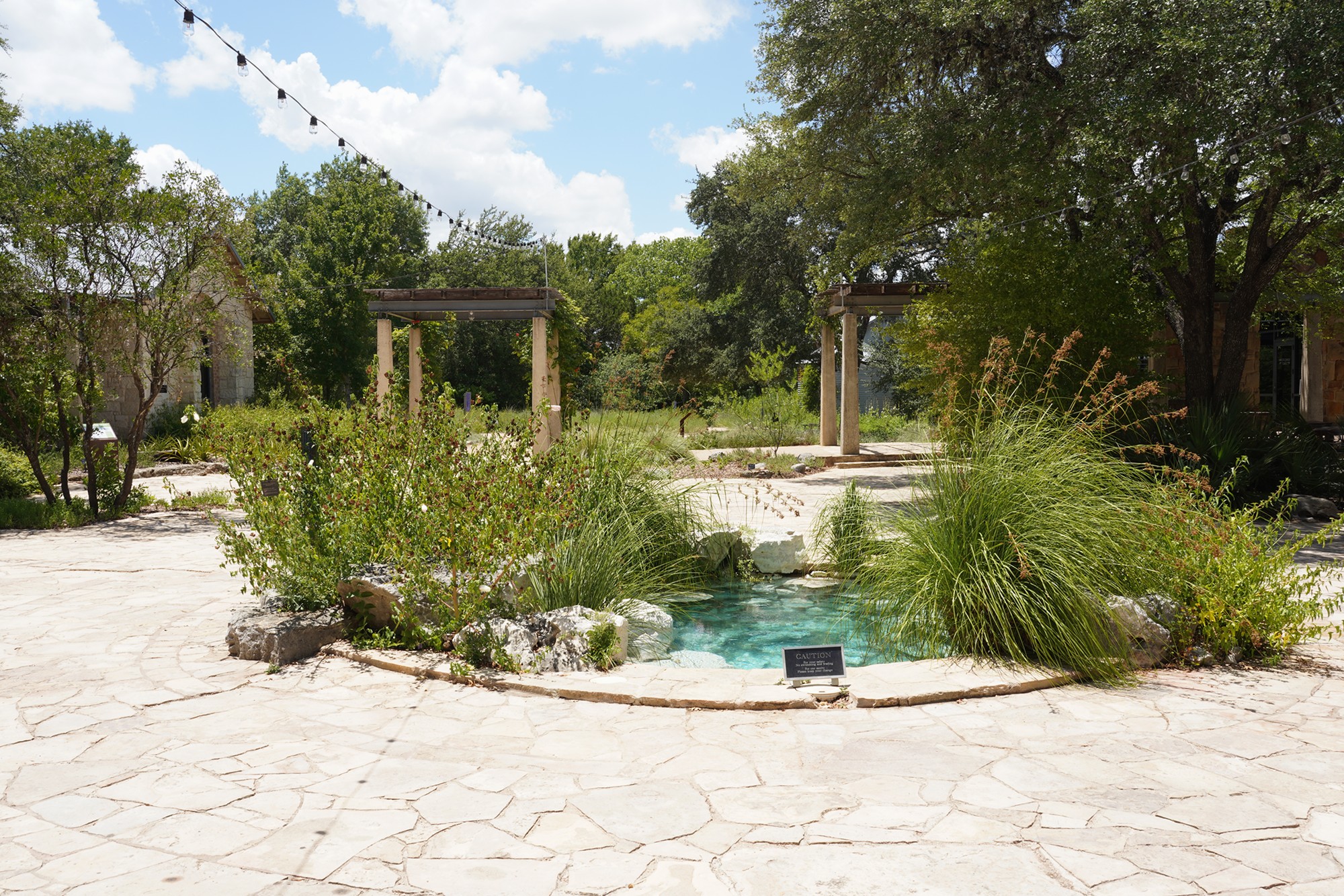 Lady Bird Johnson Wildflower Center (5)