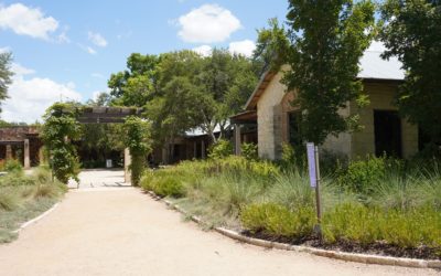 Lady Bird Johnson Wildflower Center, Austin, Texas, USA