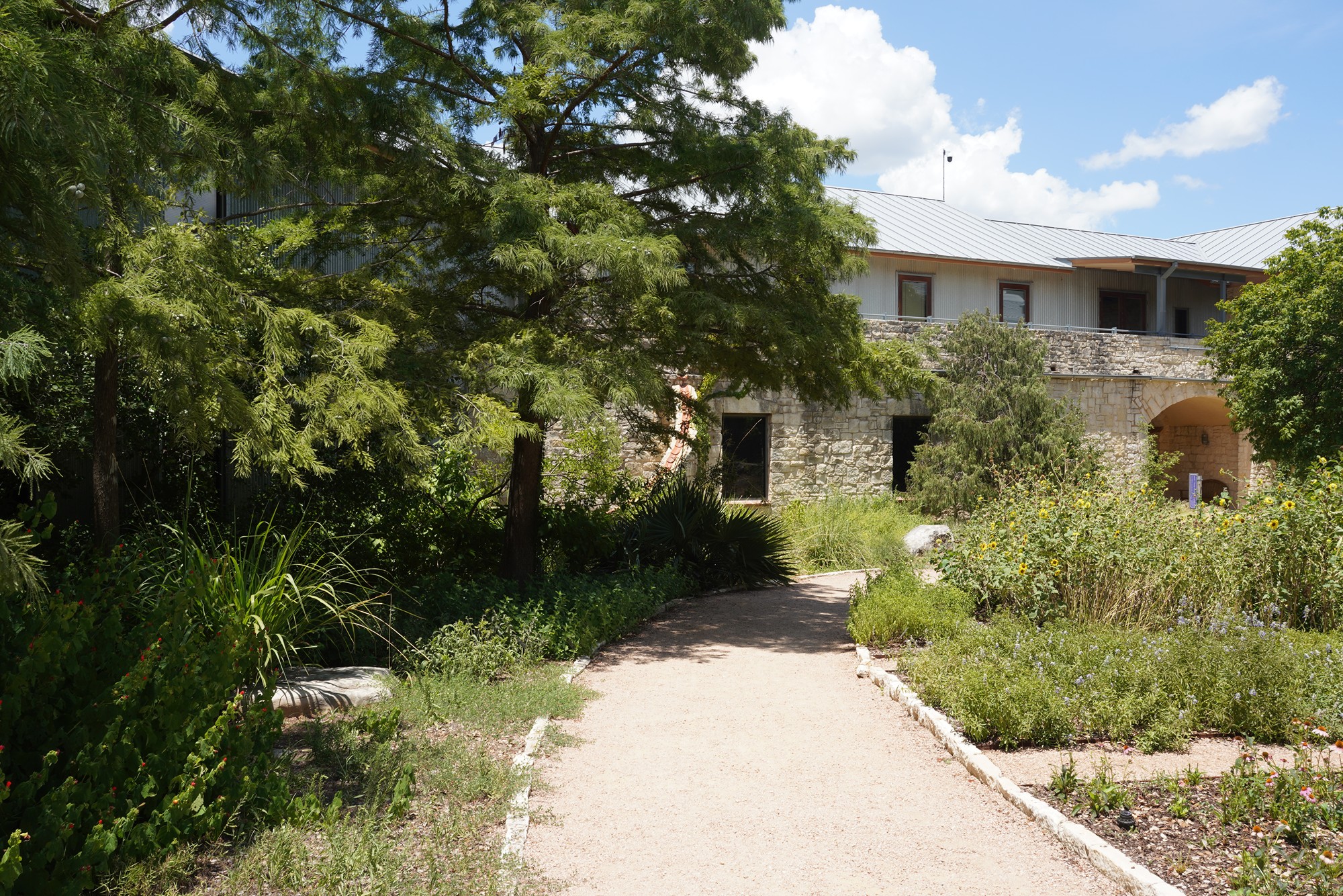 Lady Bird Johnson Wildflower Center (8)