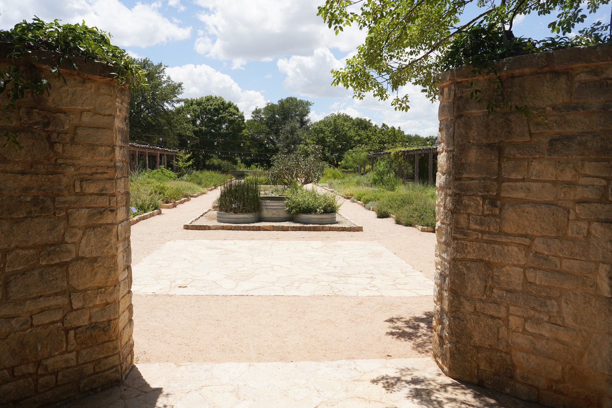 Lady Bird Johnson Wildflower Center (9)