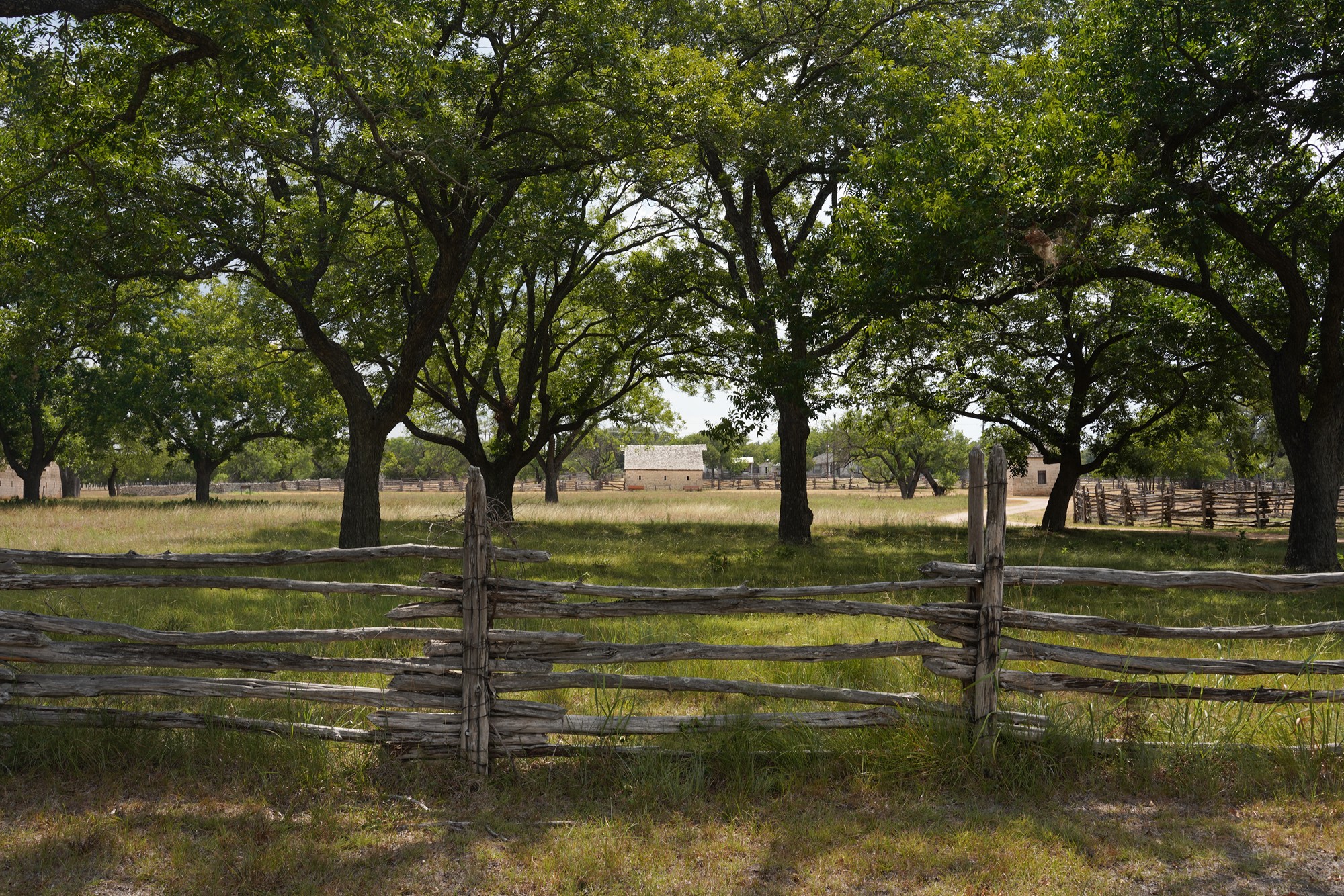 Lyndon B. Johnson National Historical Park (49)