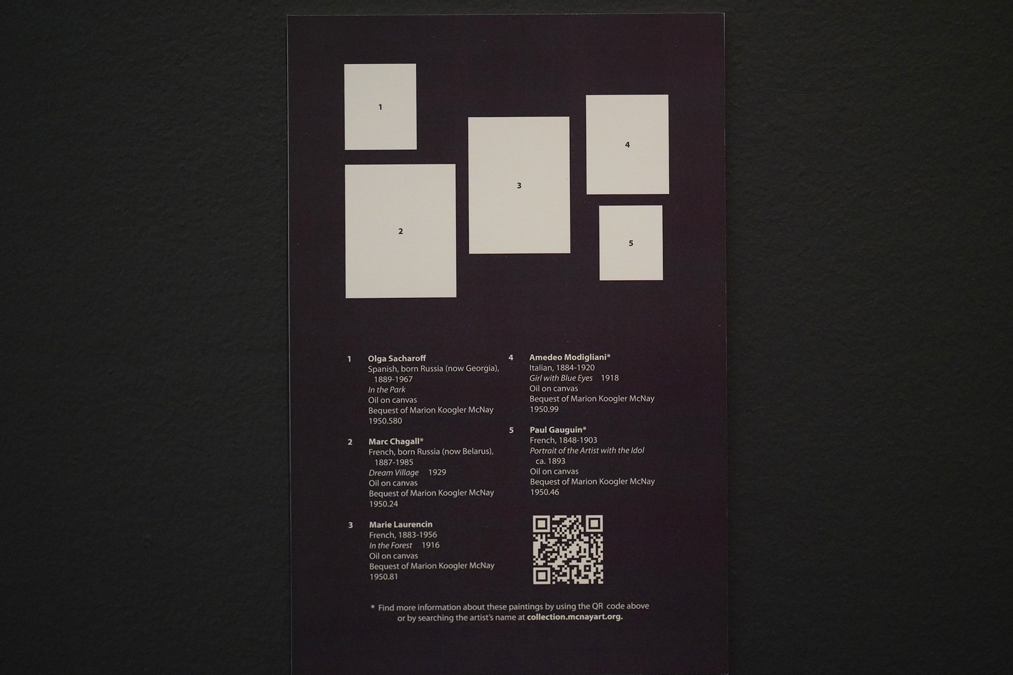 McNay Art Museum (11)