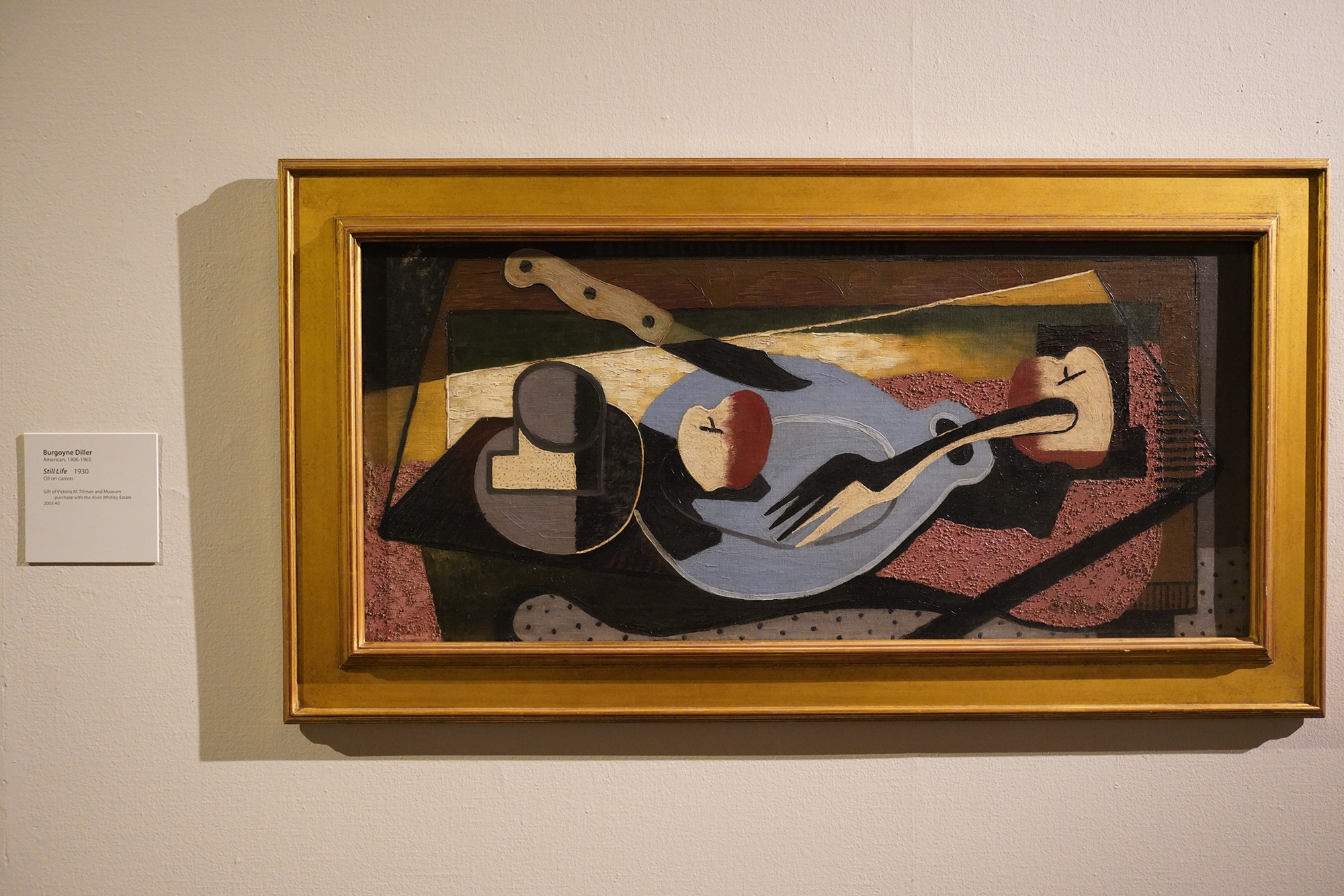 McNay Art Museum (61)