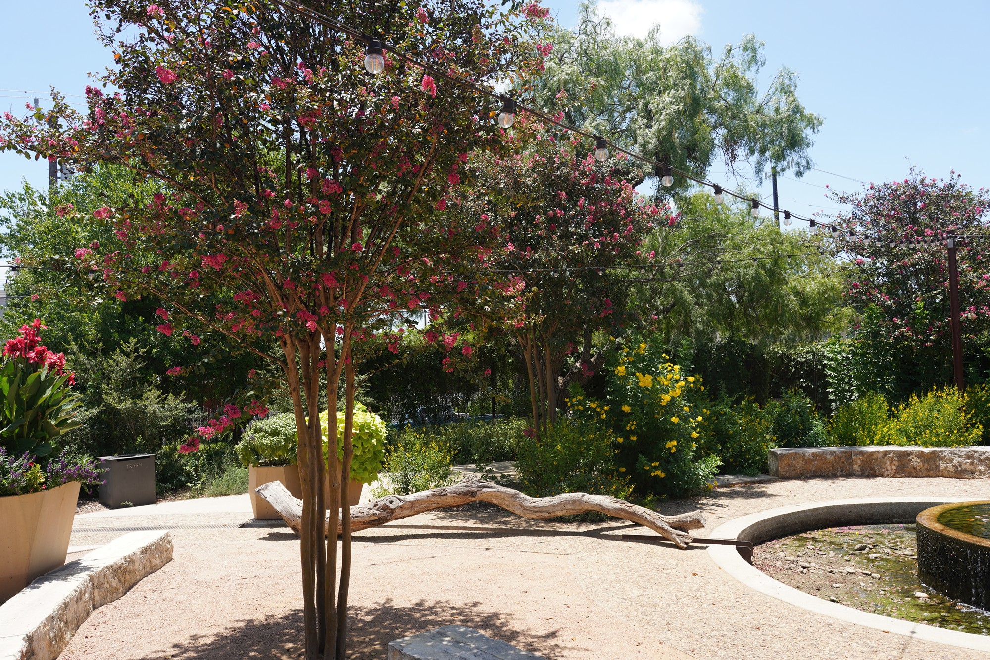 San Antonio Botanical Garden (10)