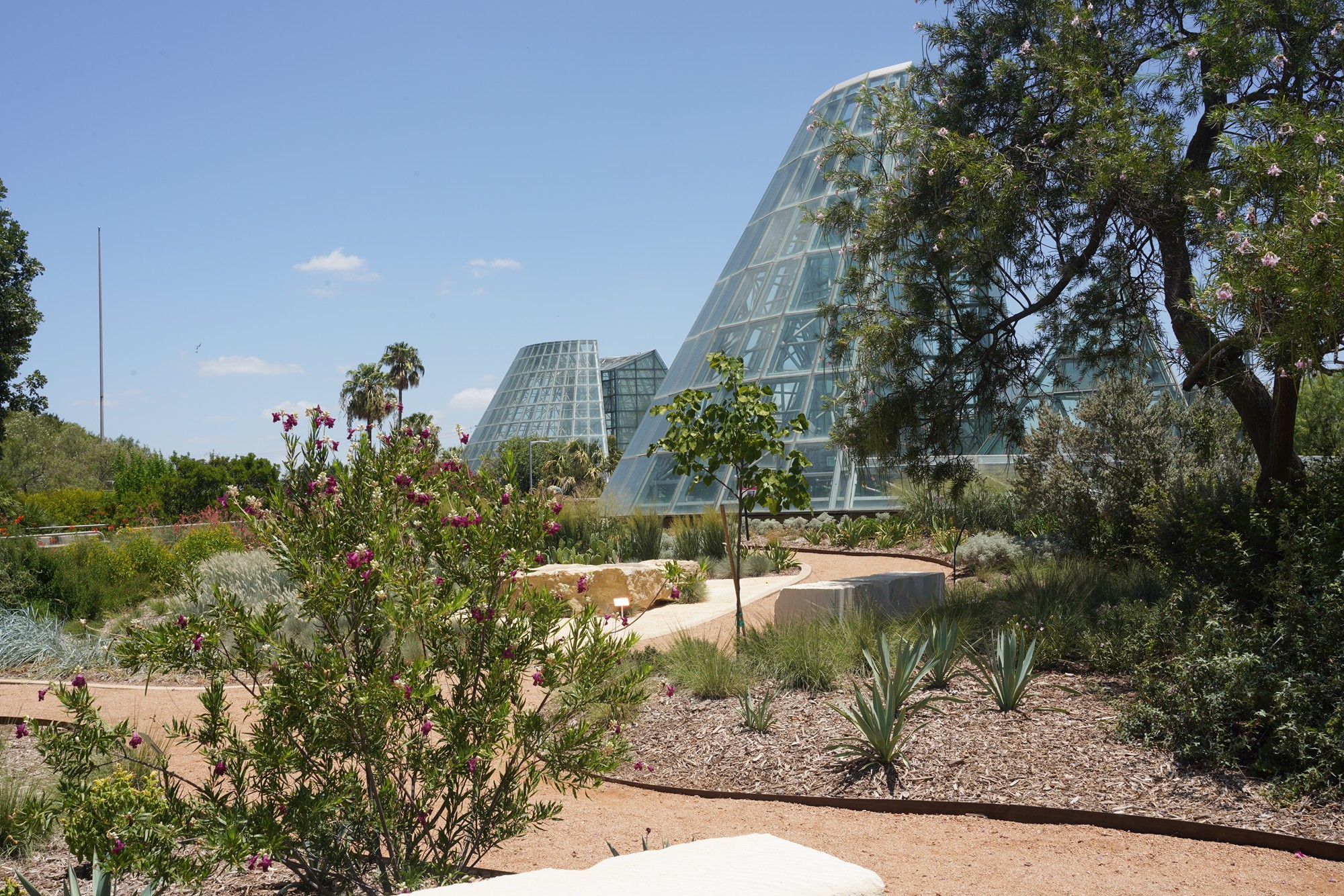 San Antonio Botanical Garden (12)