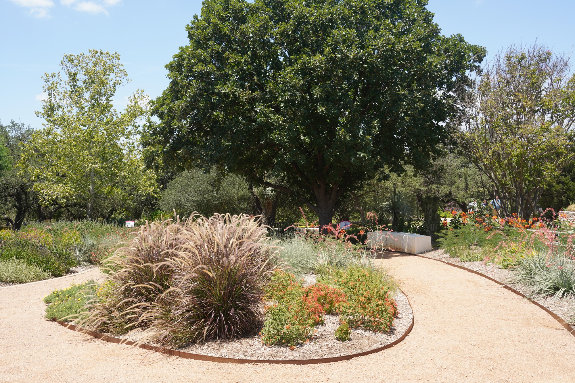 San Antonio Botanical Garden (13)