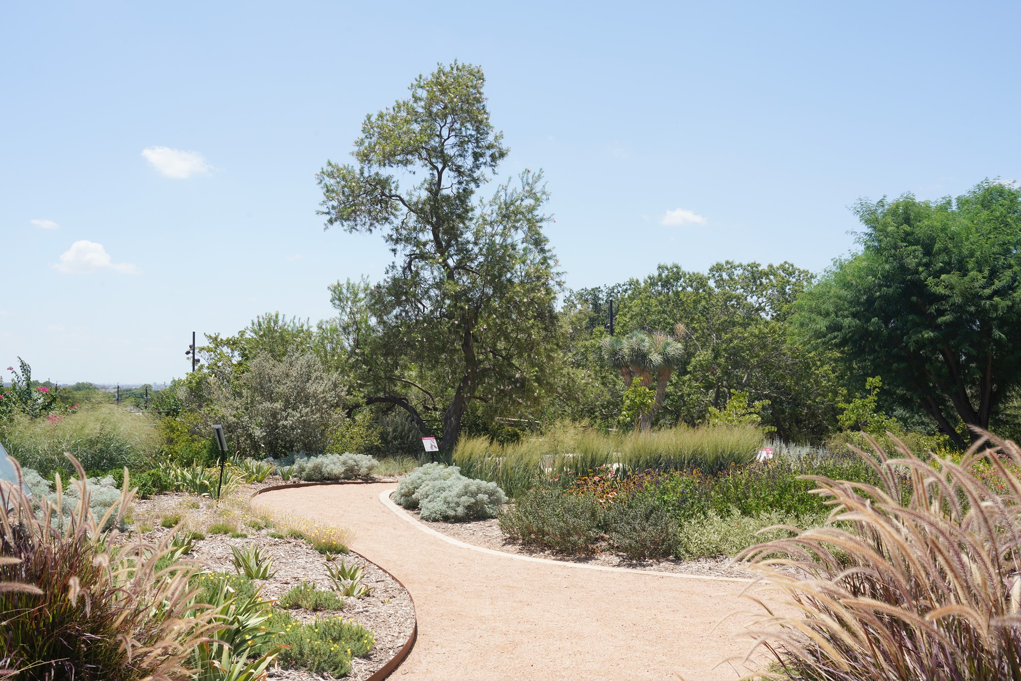 San Antonio Botanical Garden (14)