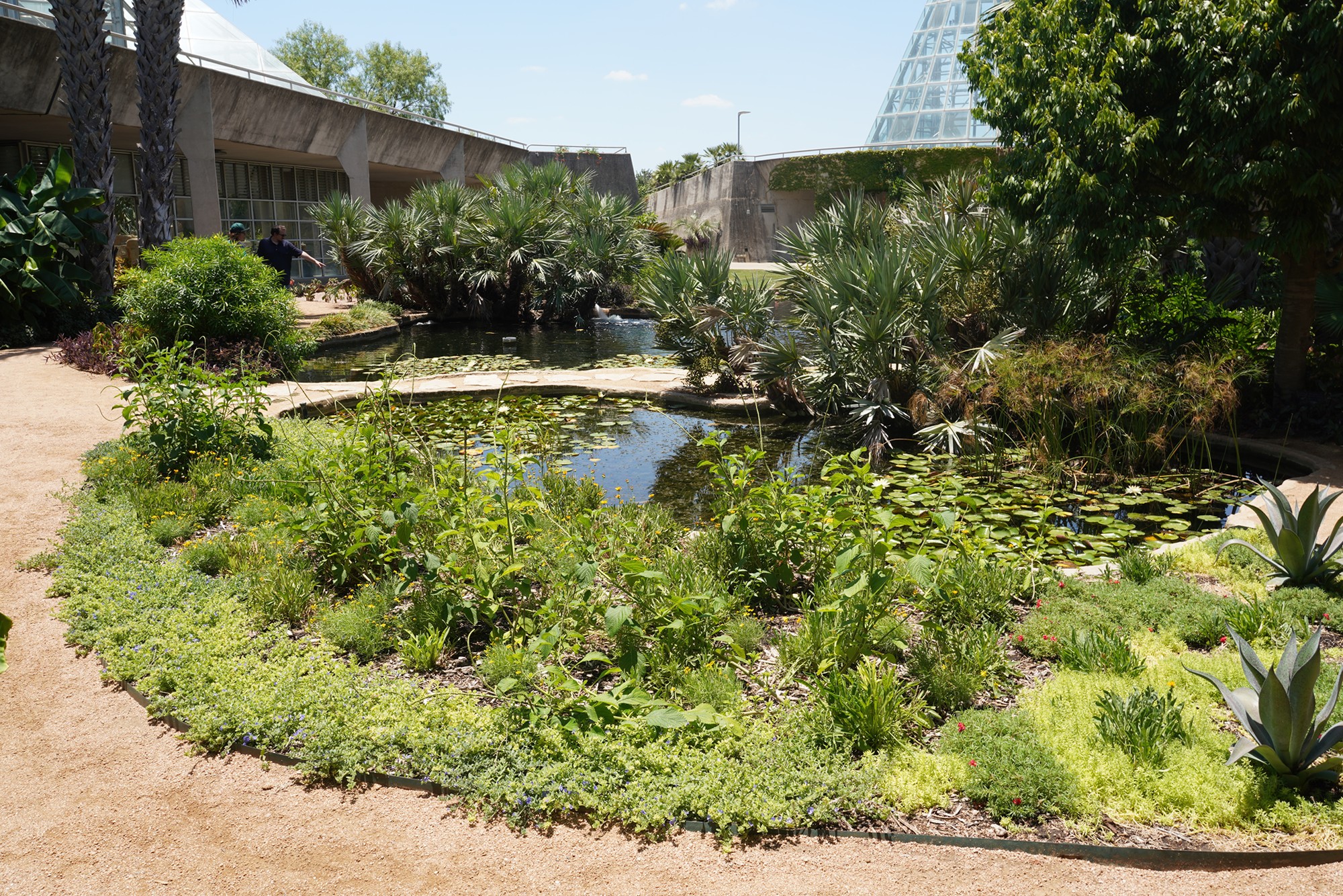 San Antonio Botanical Garden (16)