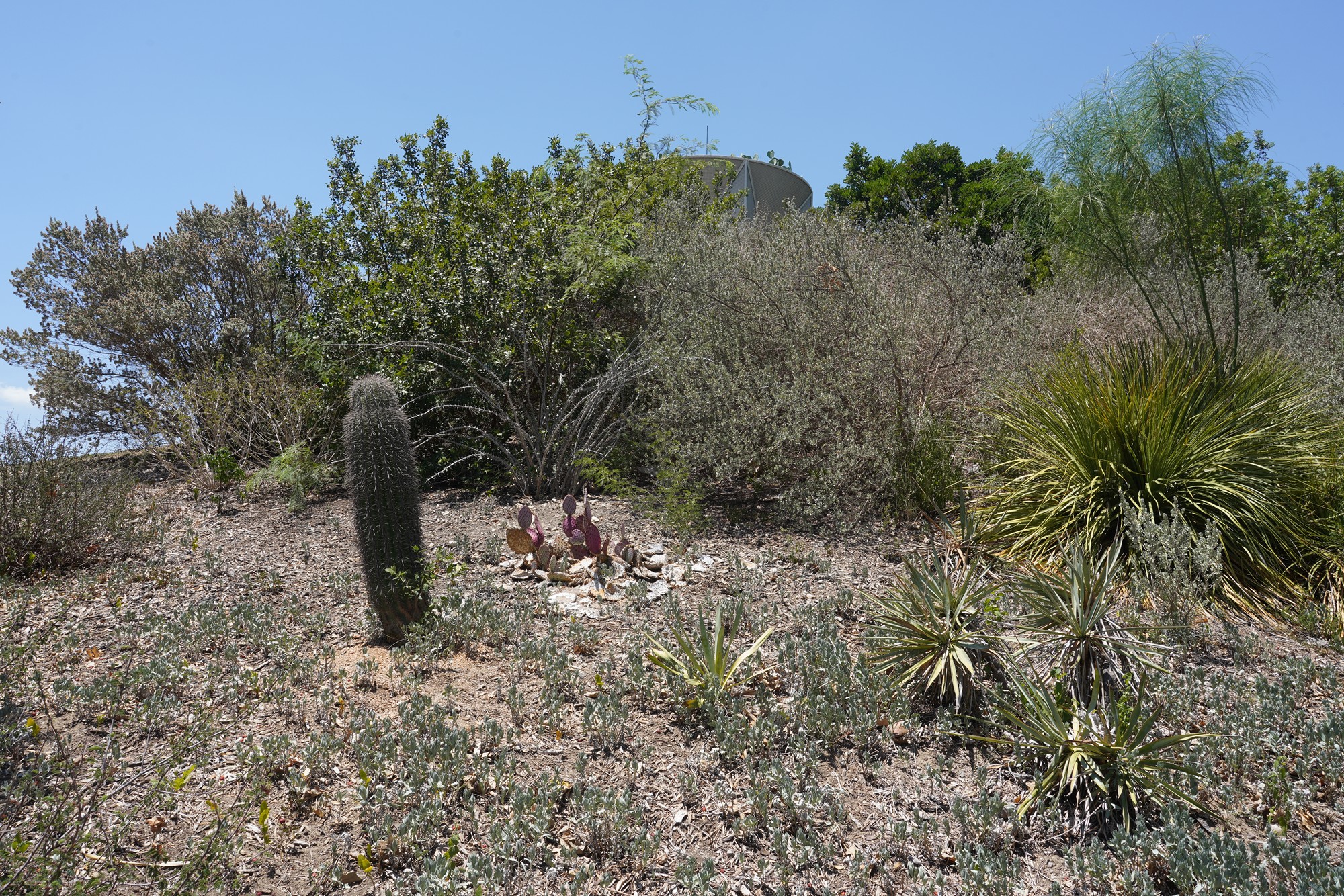 San Antonio Botanical Garden (18)