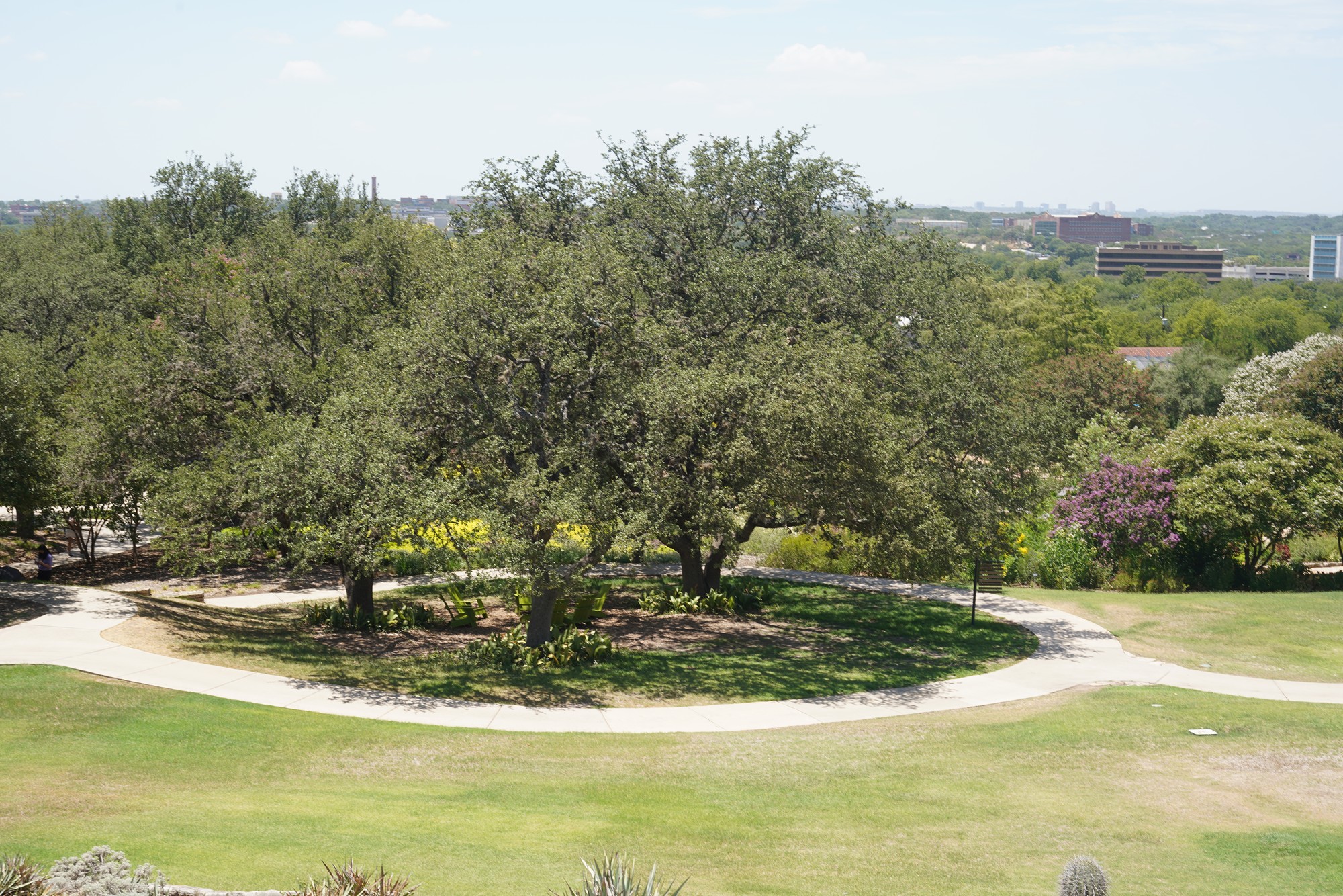 San Antonio Botanical Garden (20)