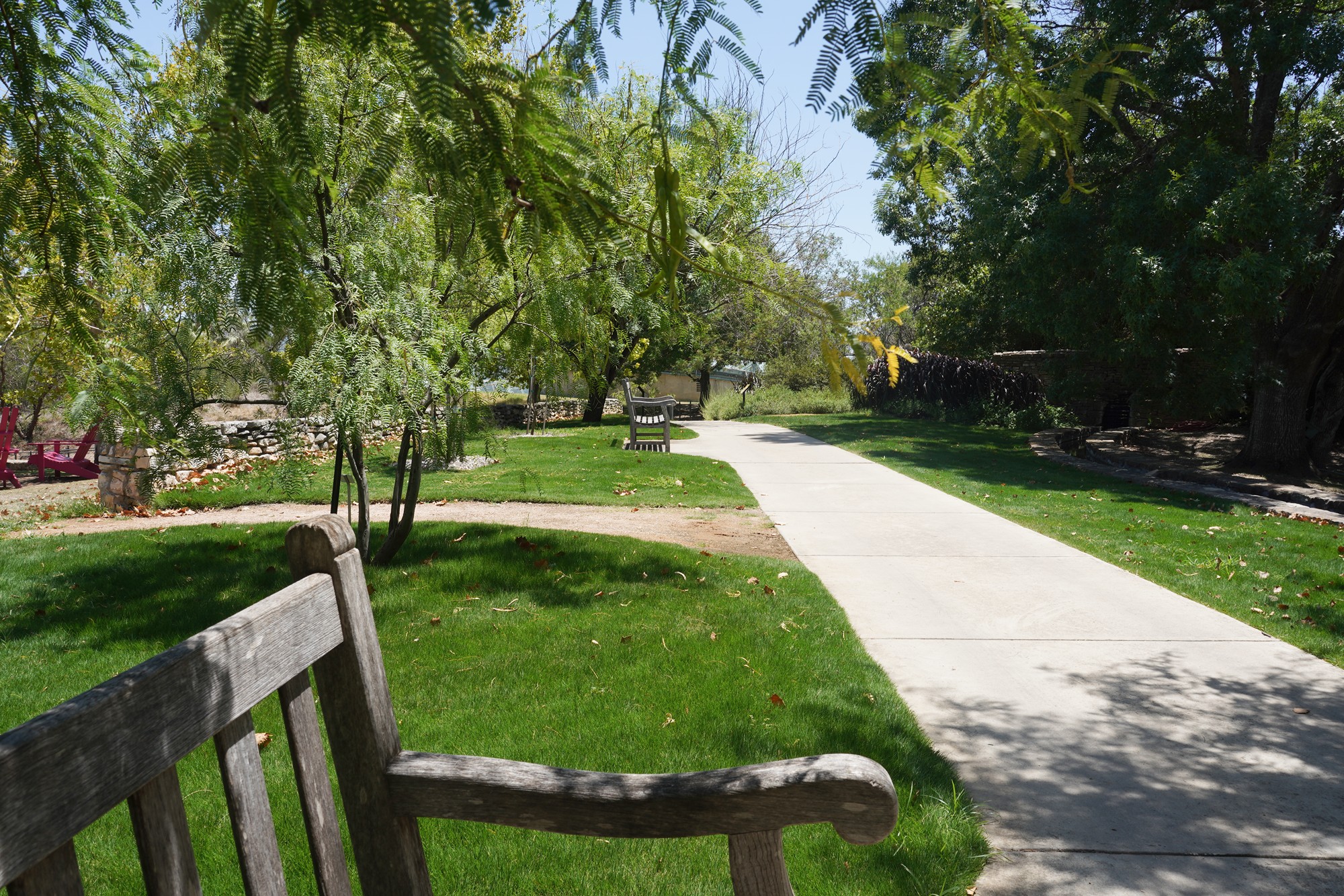 San Antonio Botanical Garden (21)