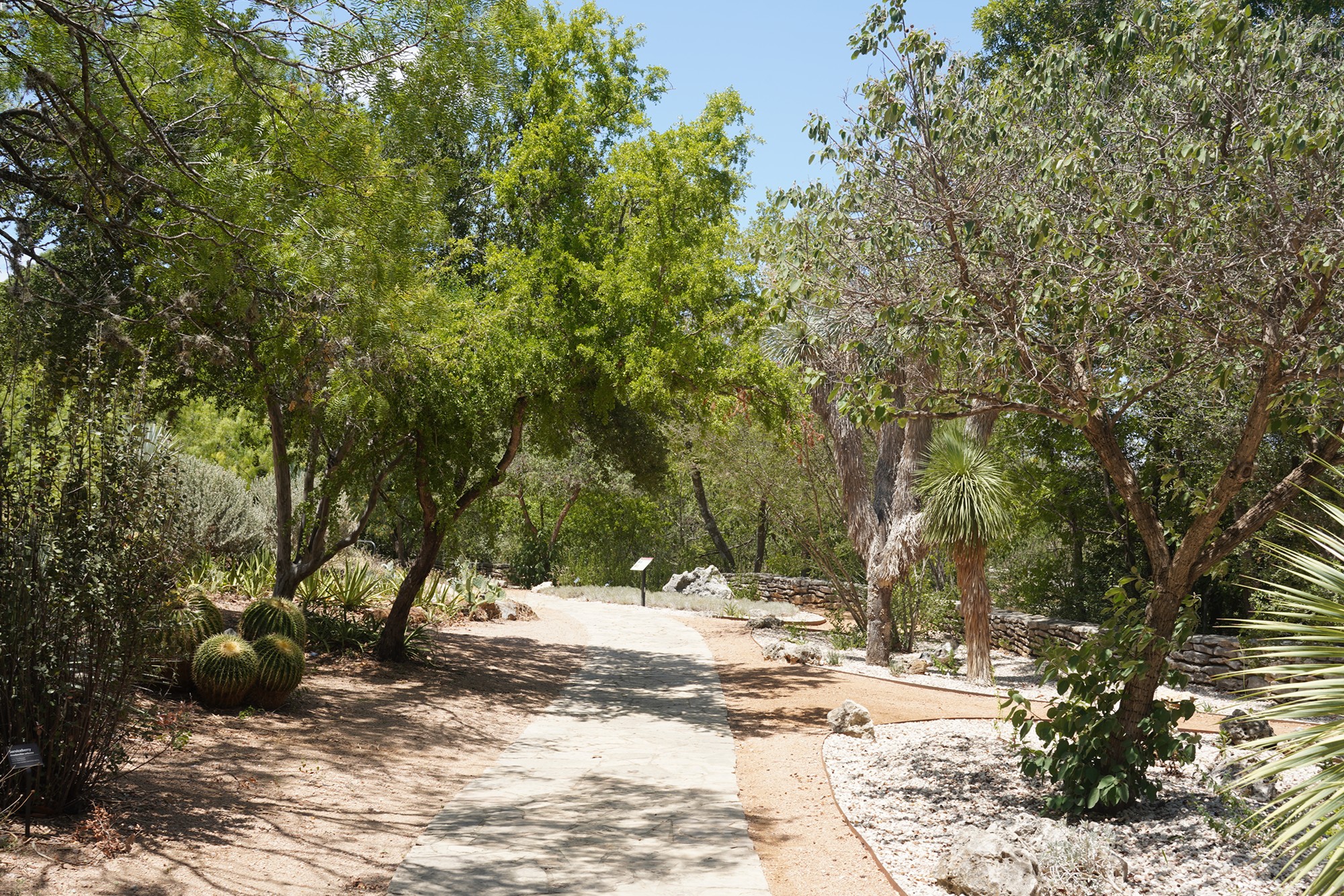 San Antonio Botanical Garden (23)