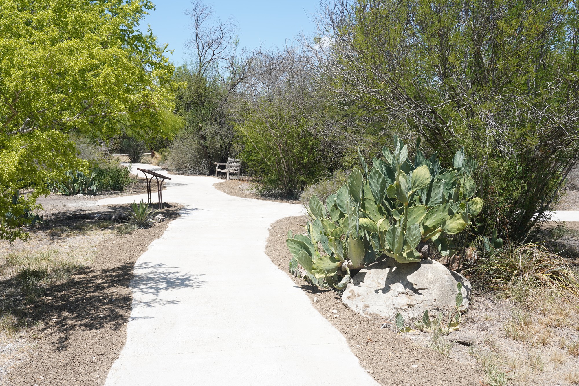 San Antonio Botanical Garden (26)