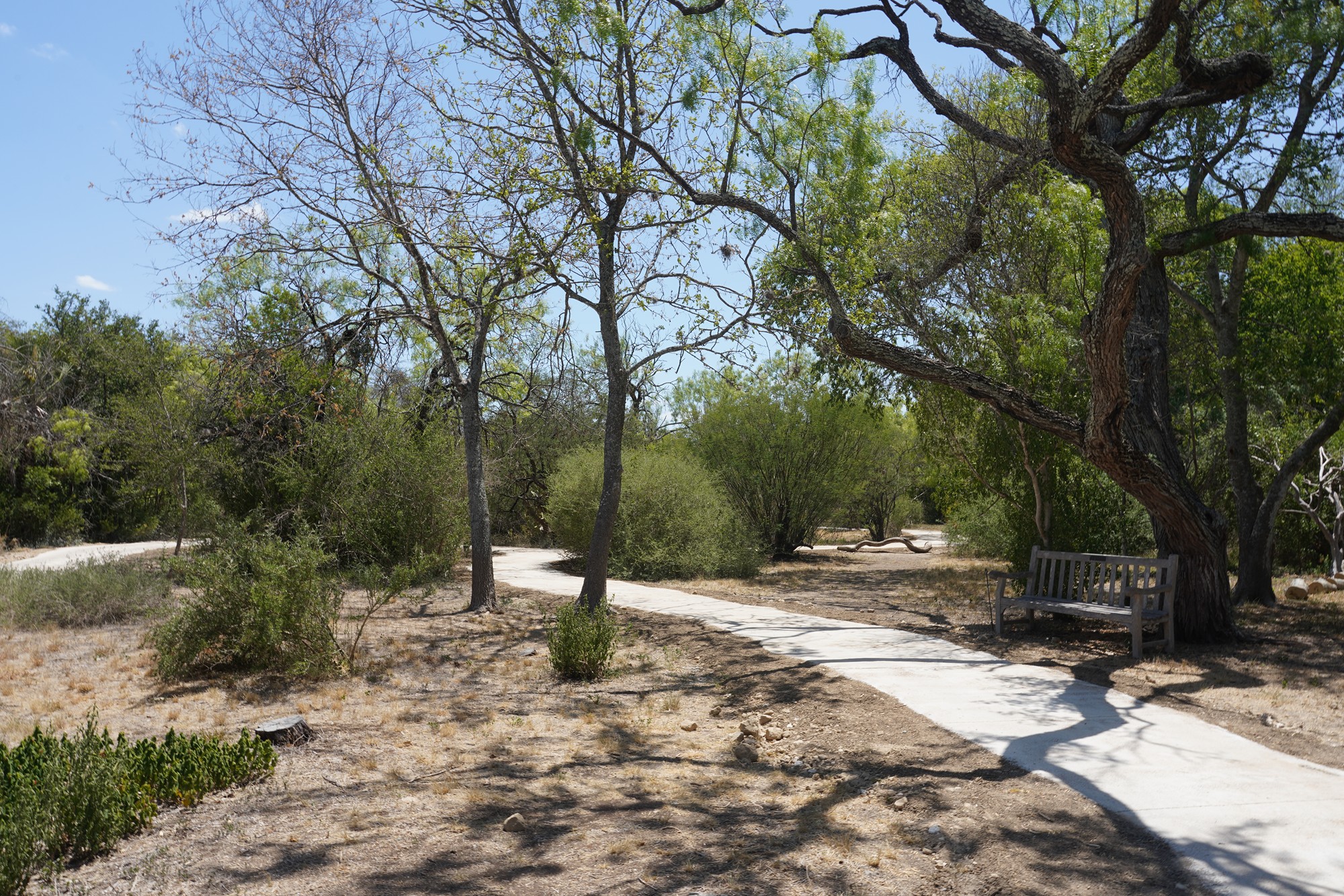 San Antonio Botanical Garden (28)