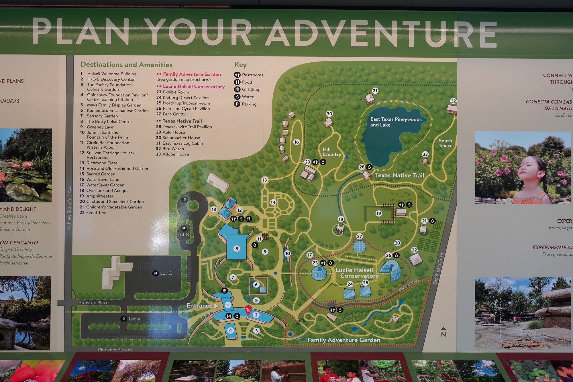 San Antonio Botanical Garden (3)