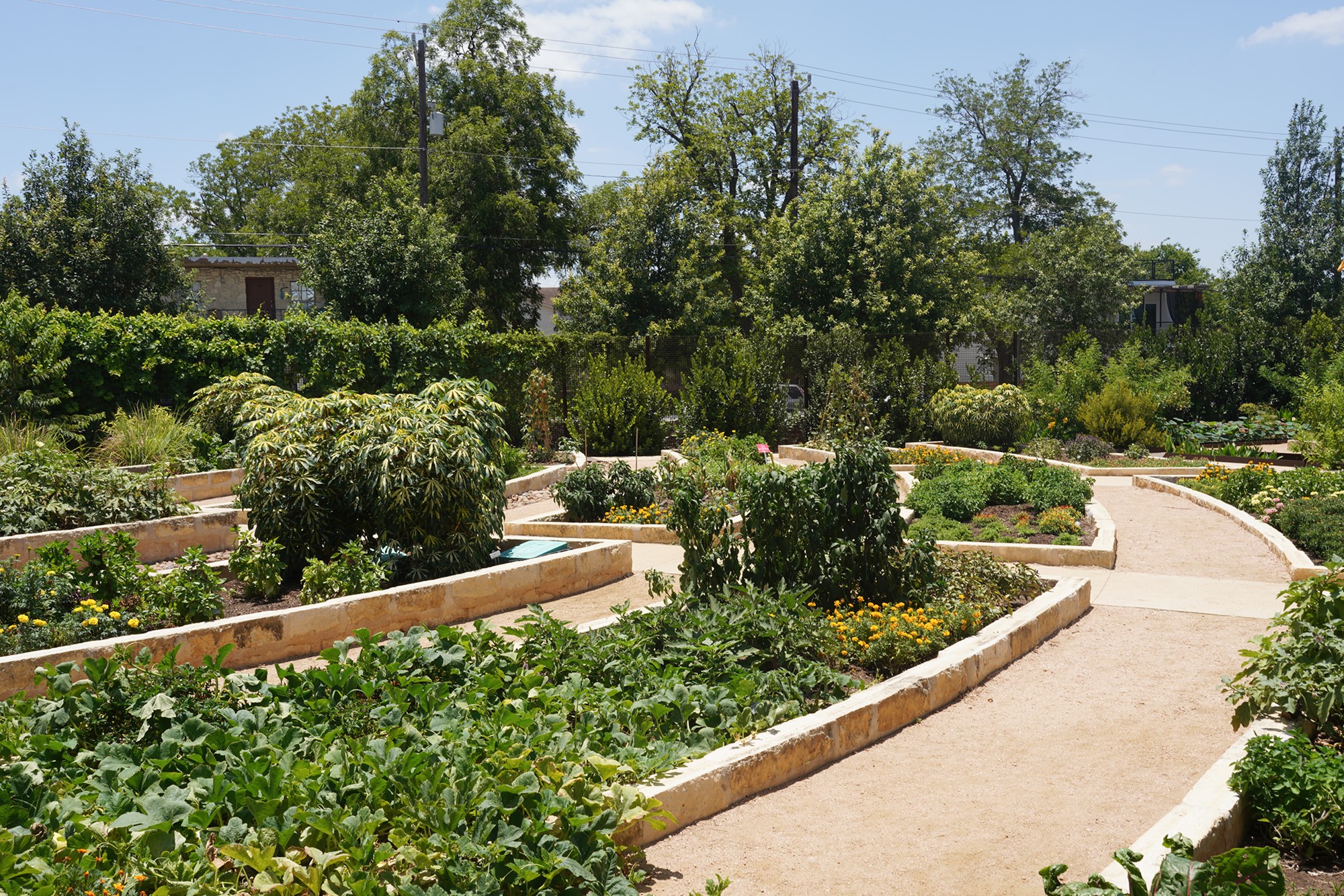 San Antonio Botanical Garden (4)