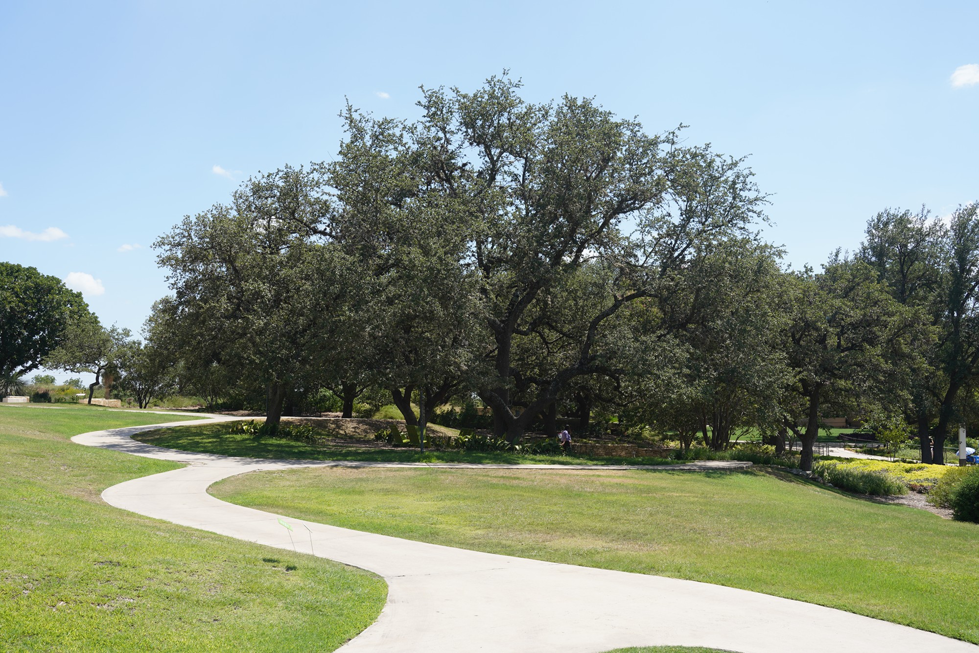 San Antonio Botanical Garden (44)