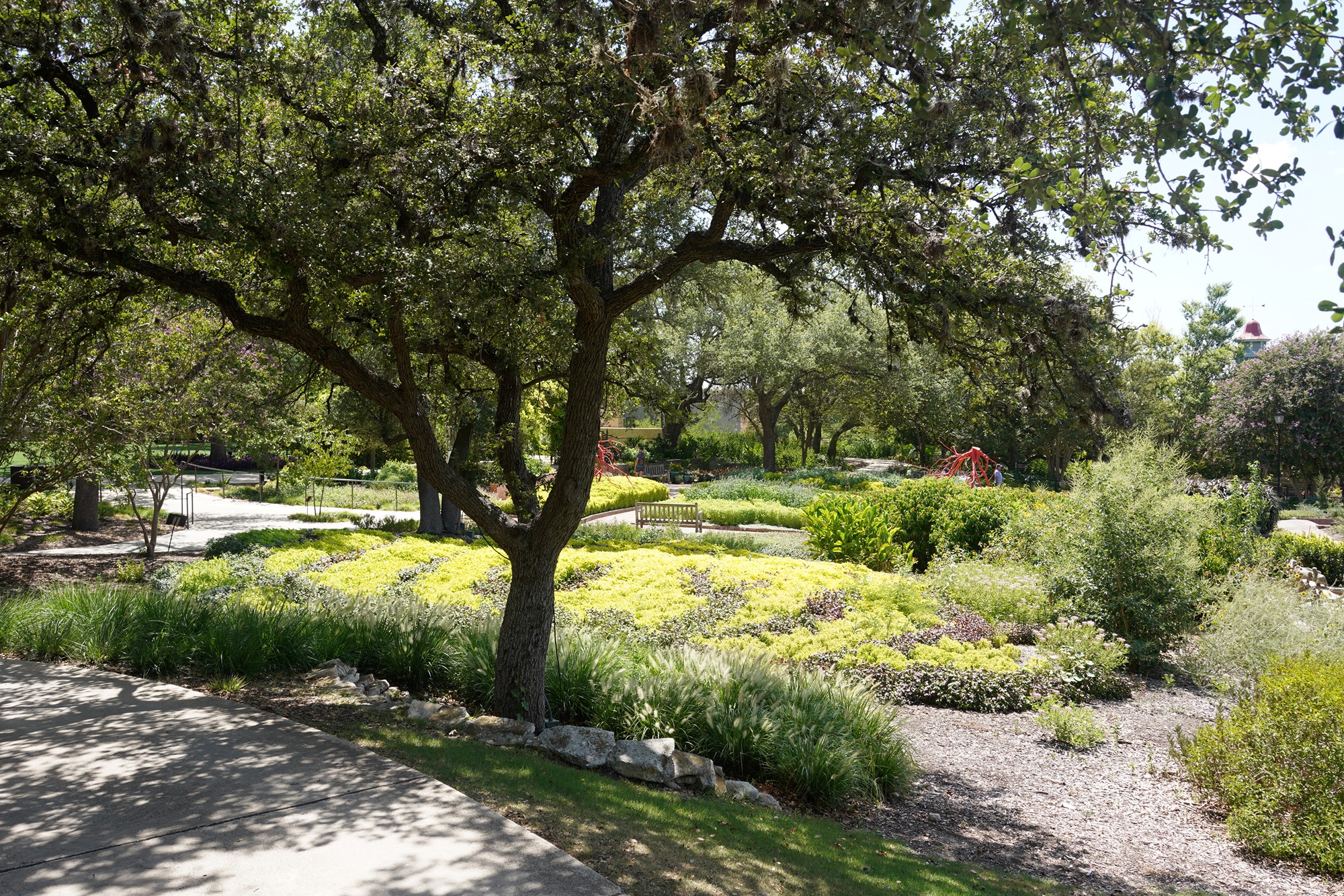 San Antonio Botanical Garden (45)