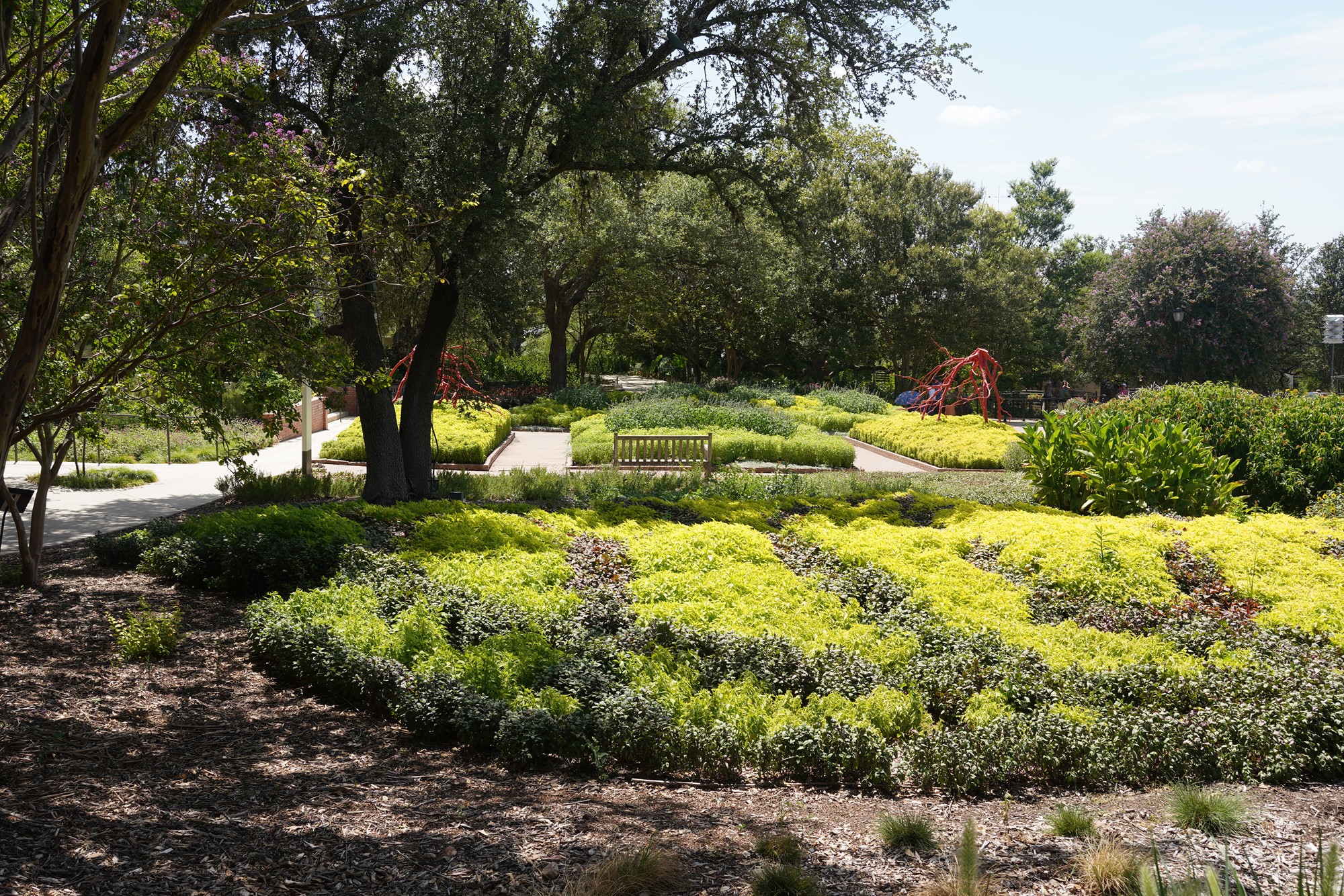 San Antonio Botanical Garden (46)