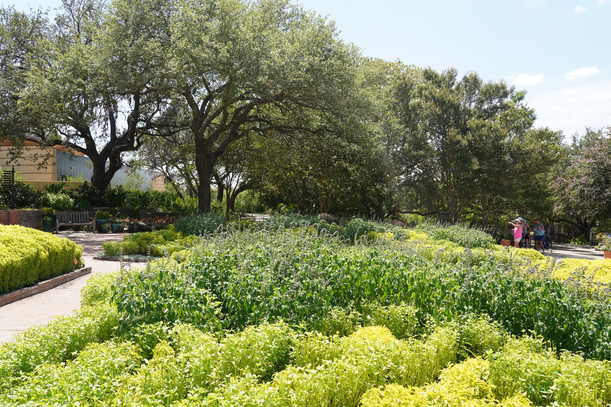 San Antonio Botanical Garden (47)
