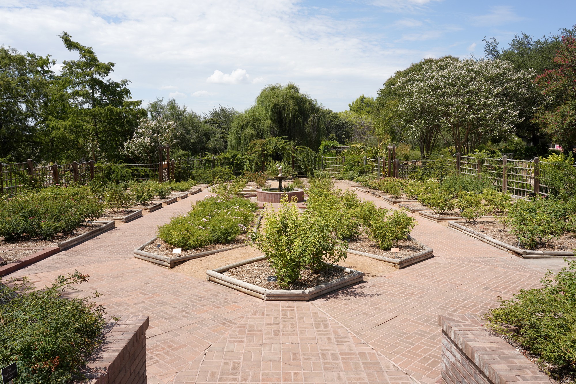 San Antonio Botanical Garden (48)