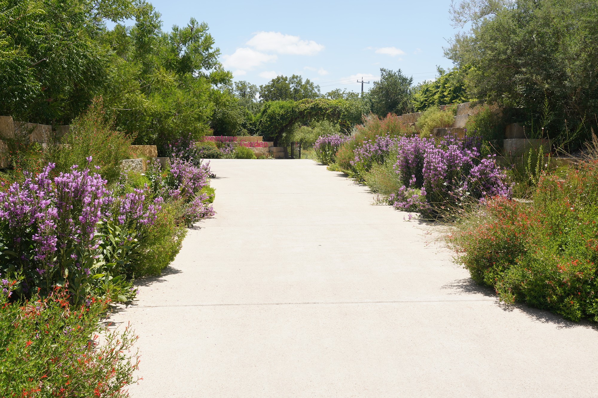 San Antonio Botanical Garden (8)