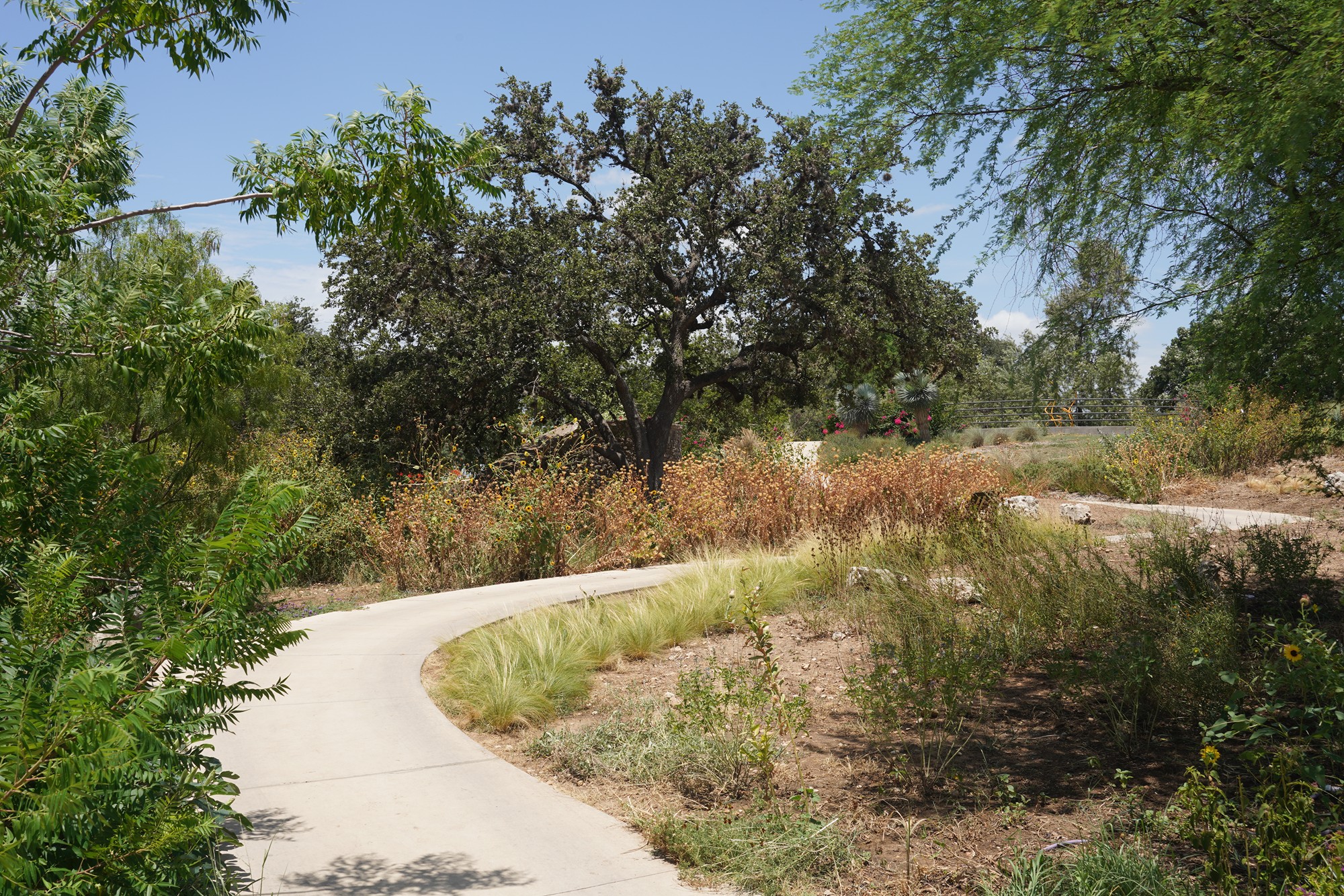 San Antonio Botanical Garden (9)