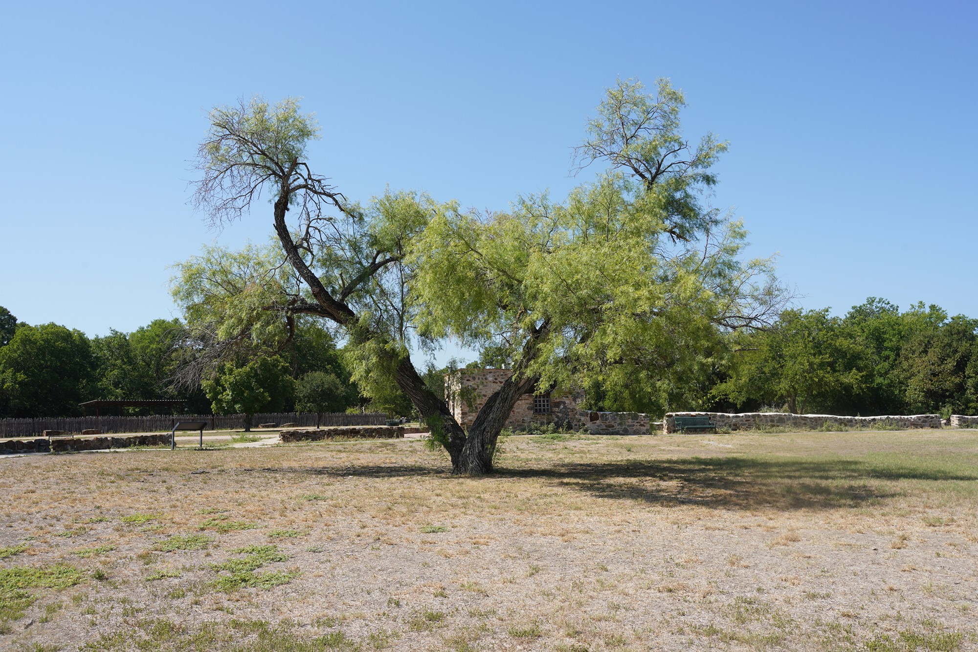 San Antonio Missions (65)