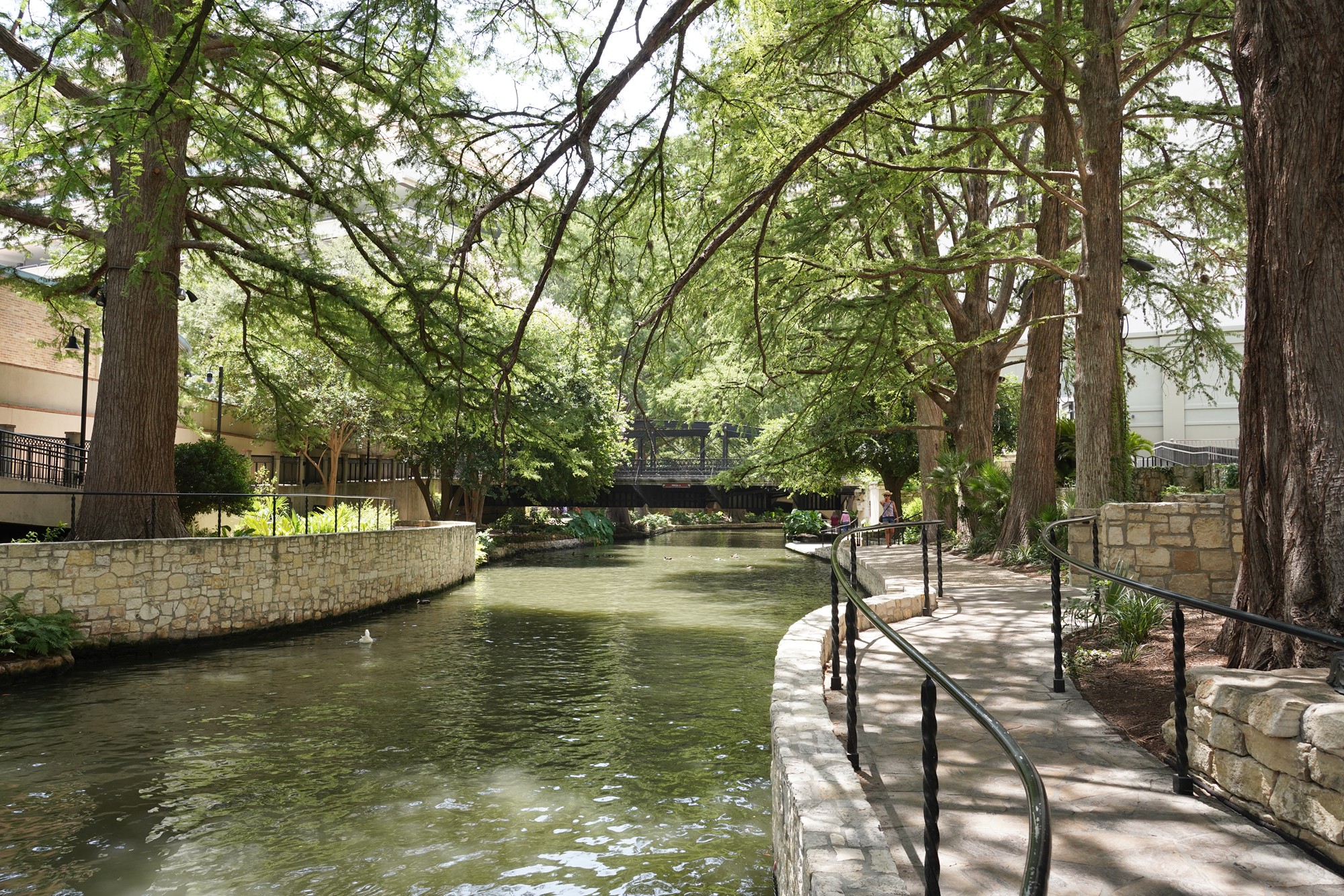 The River Walk, San Antonio, Texas (14)