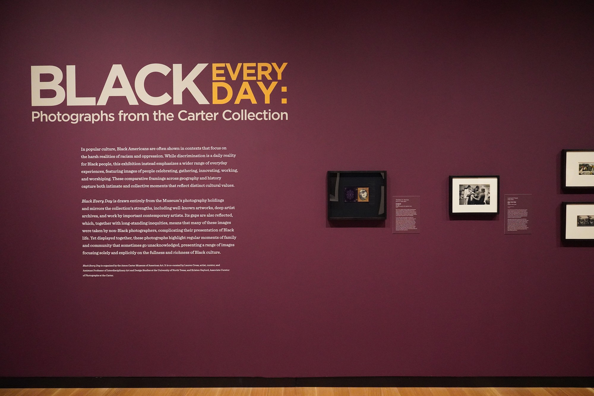 Amon Carter Museum of American Art (29)