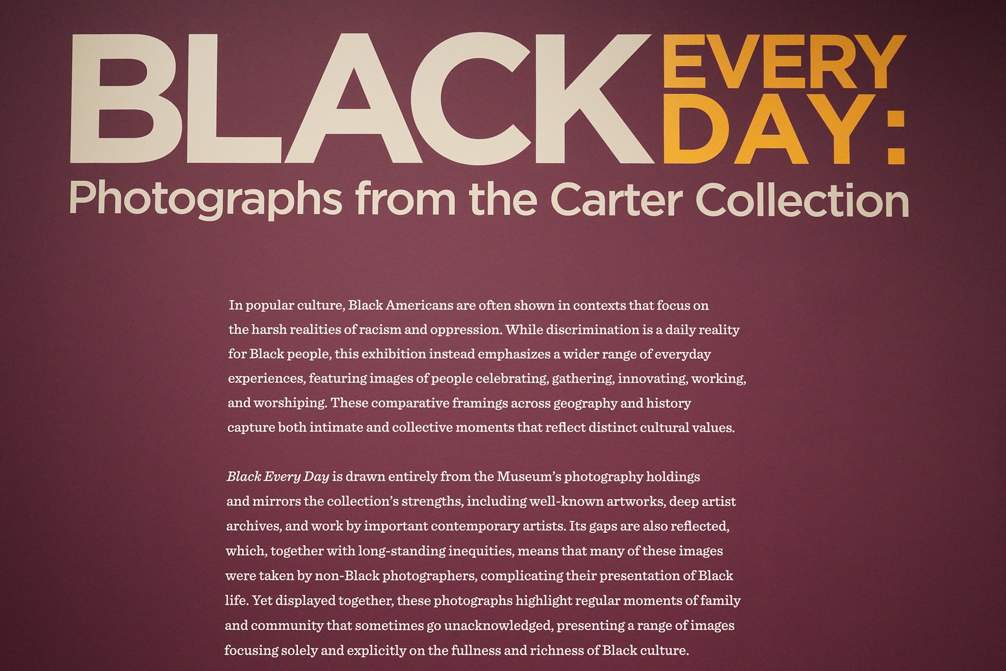 Amon Carter Museum of American Art (30)