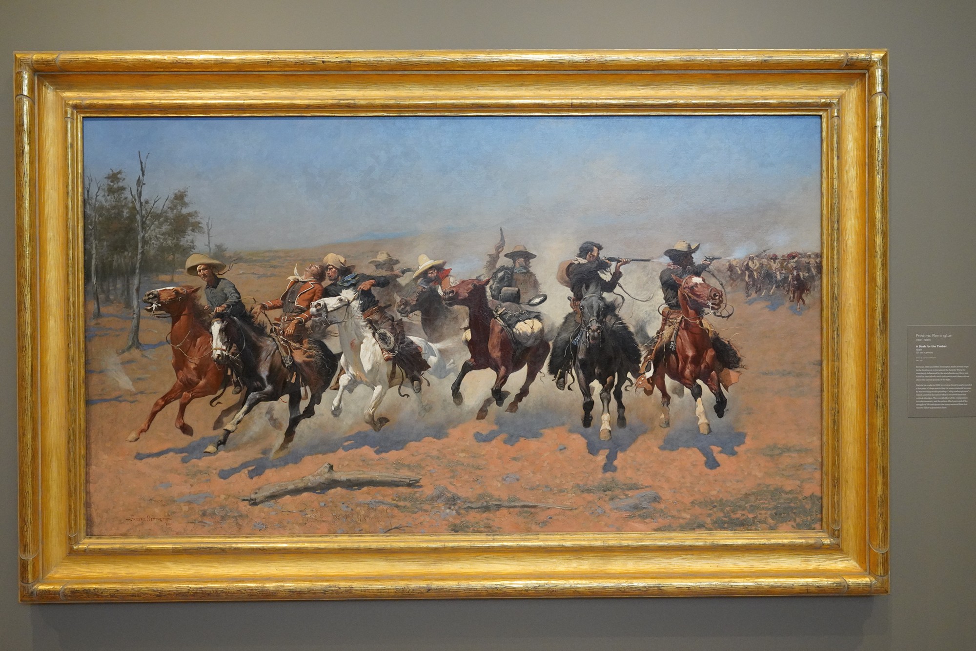 Amon Carter Museum of American Art (39)