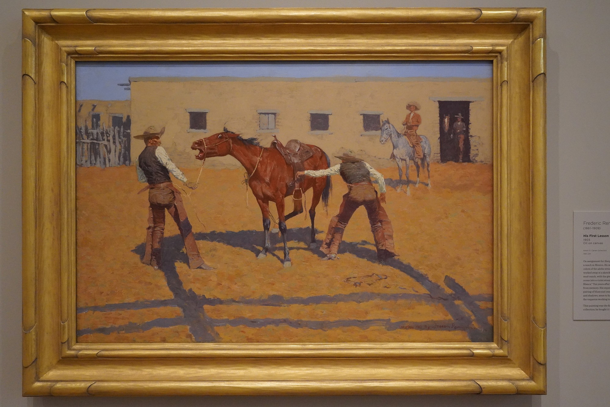 Amon Carter Museum of American Art (42)