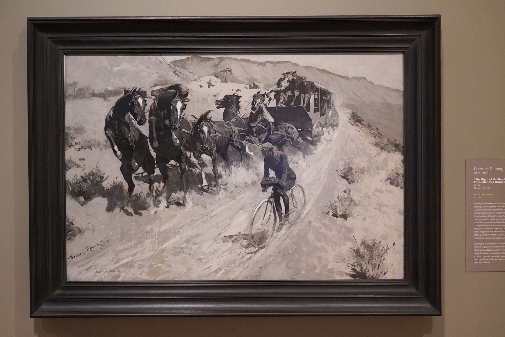 Amon Carter Museum of American Art (44)