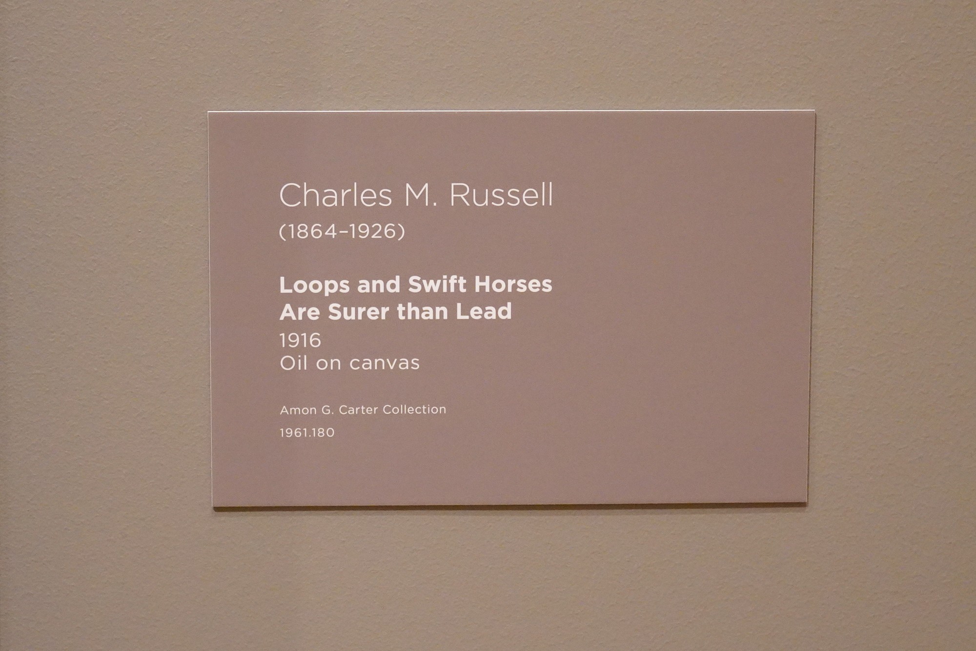 Amon Carter Museum of American Art (64)