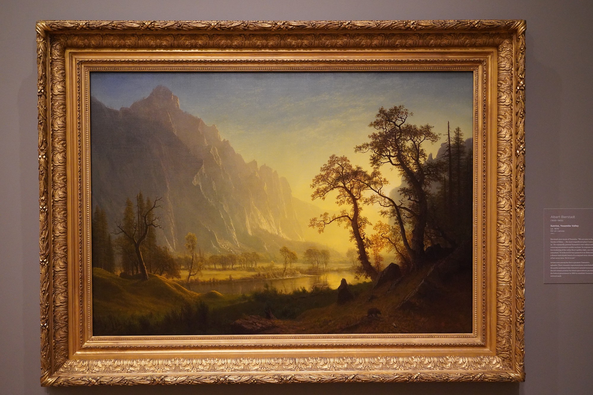 Amon Carter Museum of American Art (71)