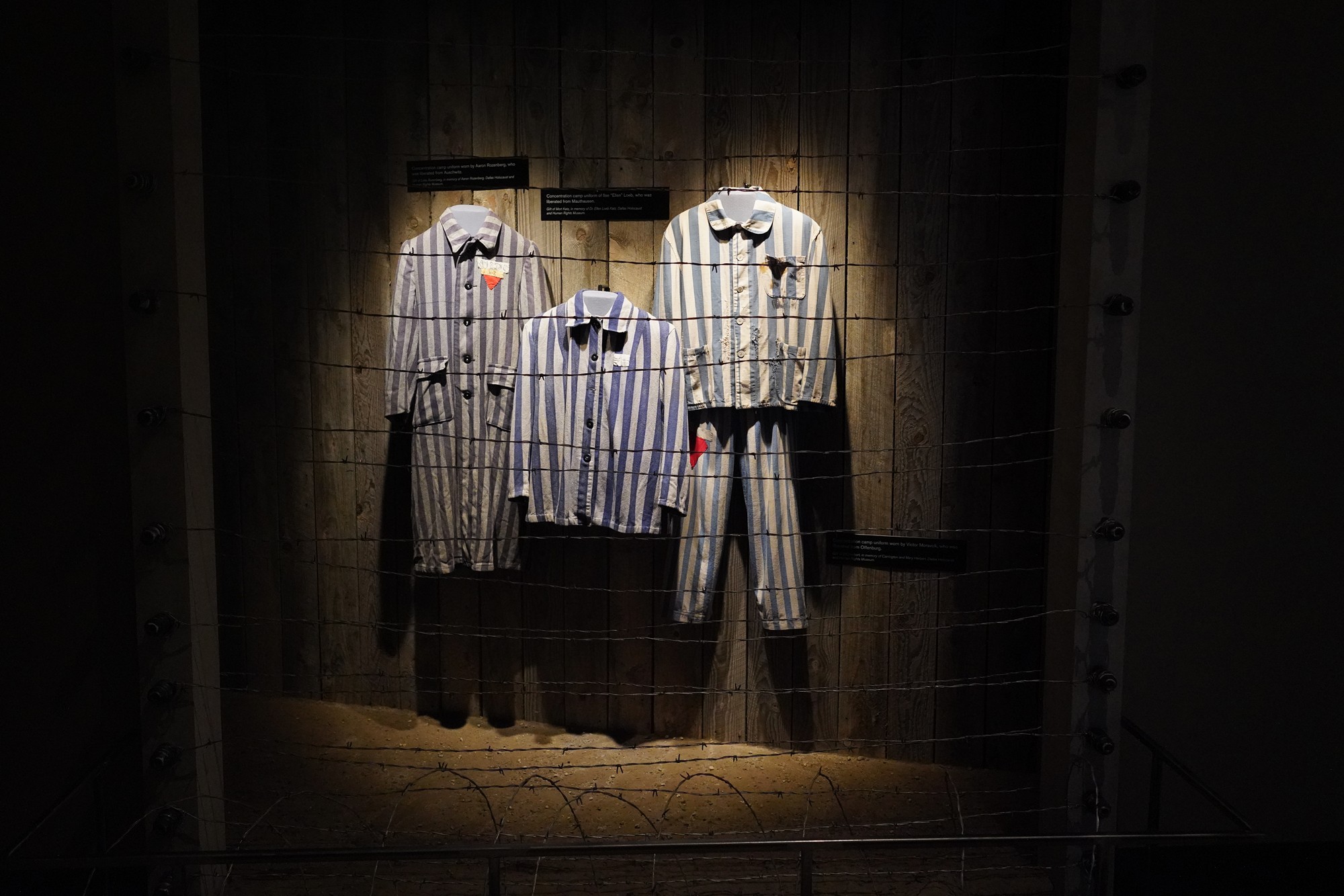 Dallas Holocaust and Human Rights Museum (102)