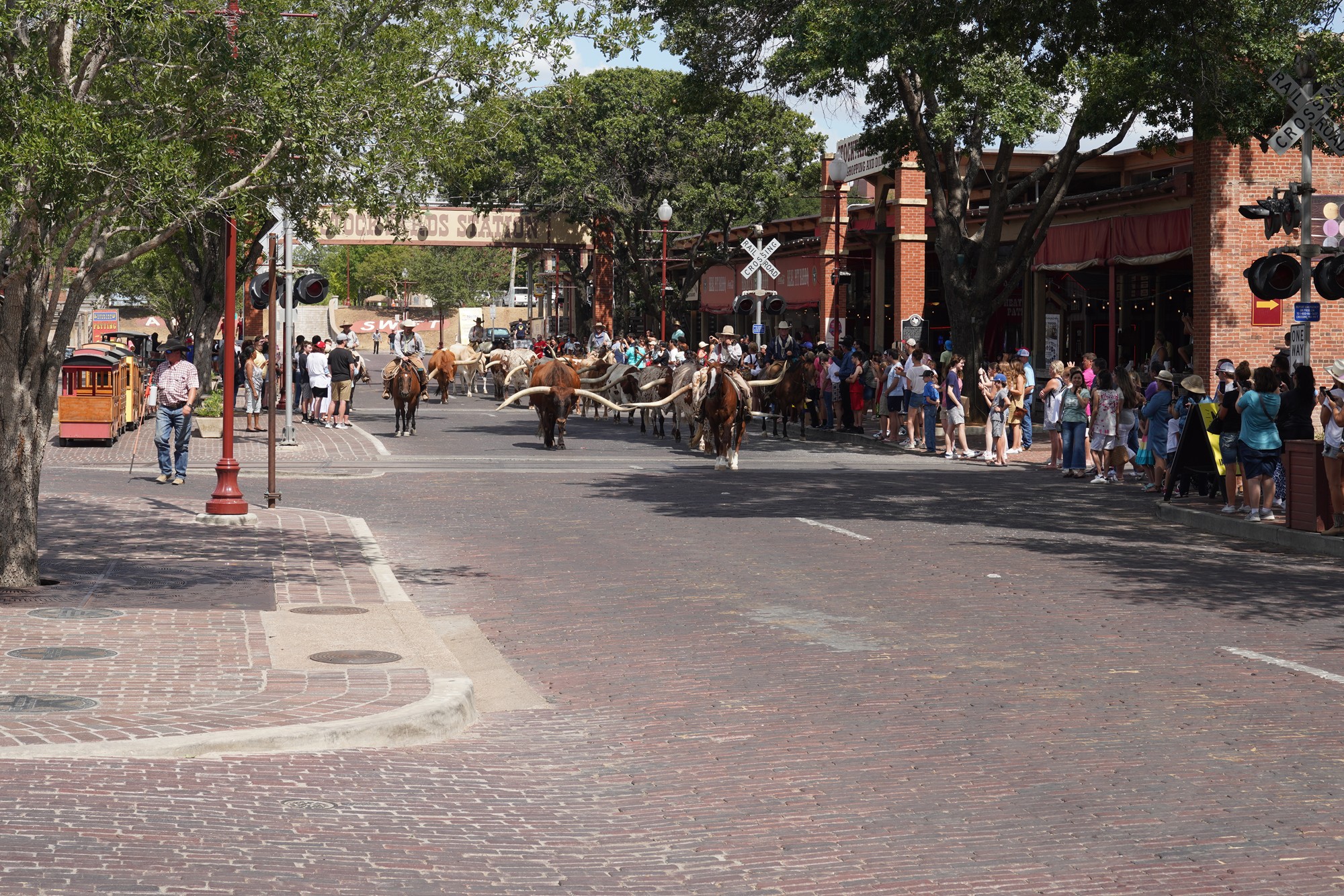 Fort Worth Stock Yard (28)