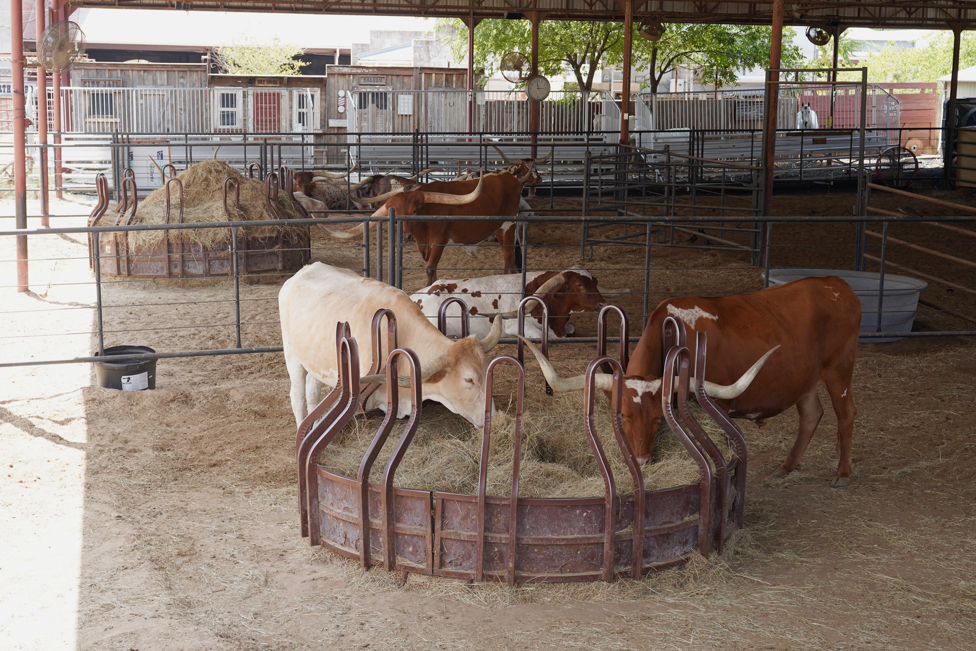 Fort Worth Stock Yard (3)