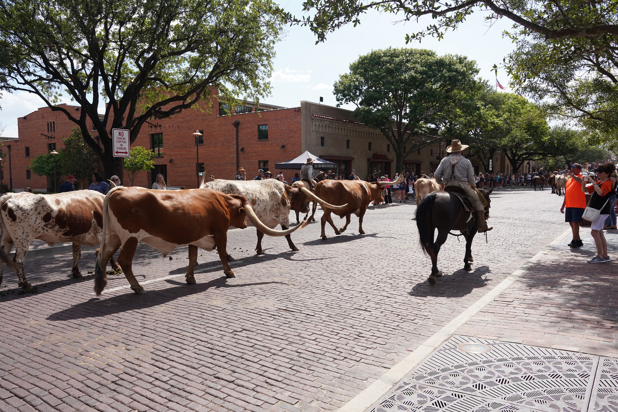 Fort Worth Stock Yard (32)