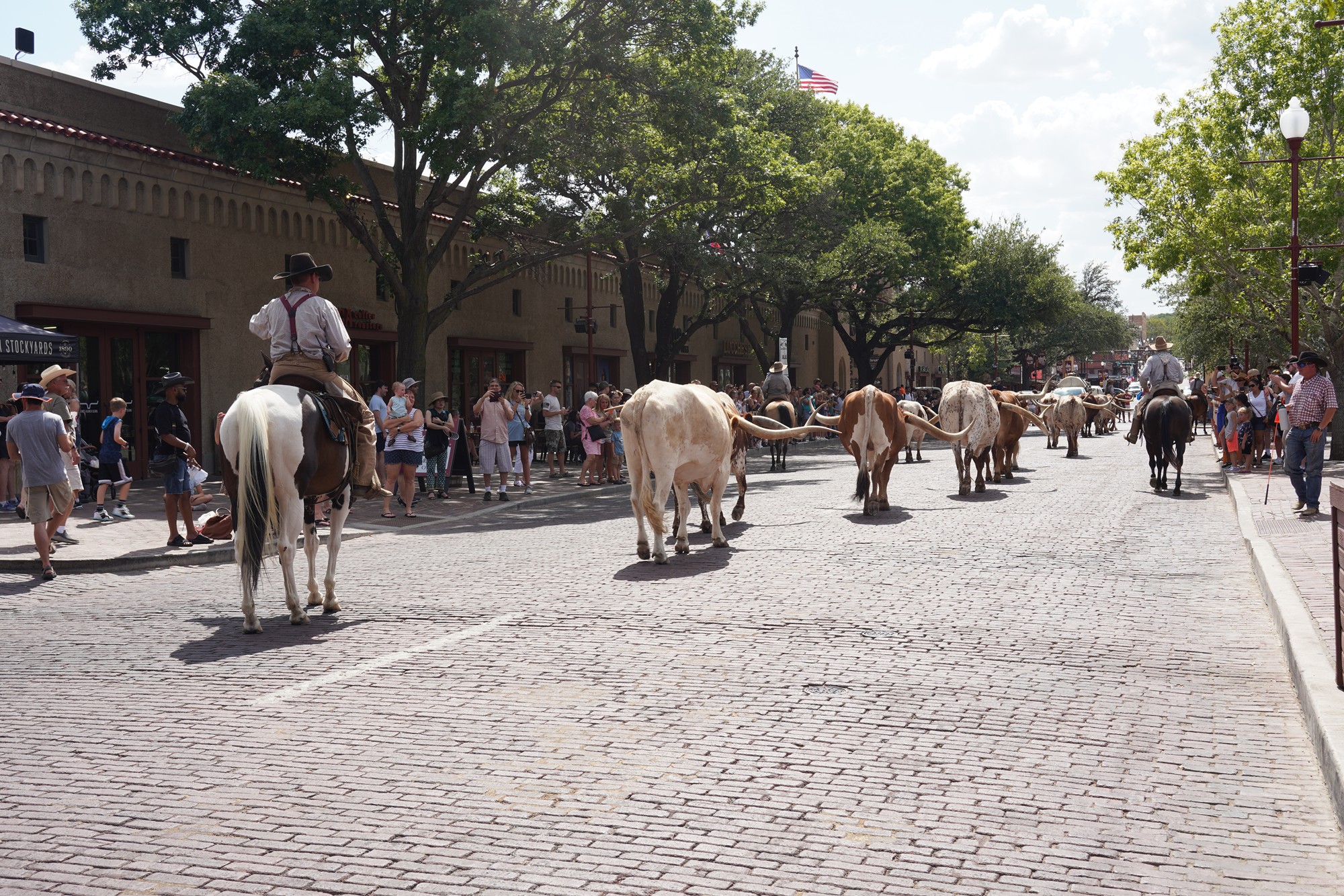 Fort Worth Stock Yard (33)