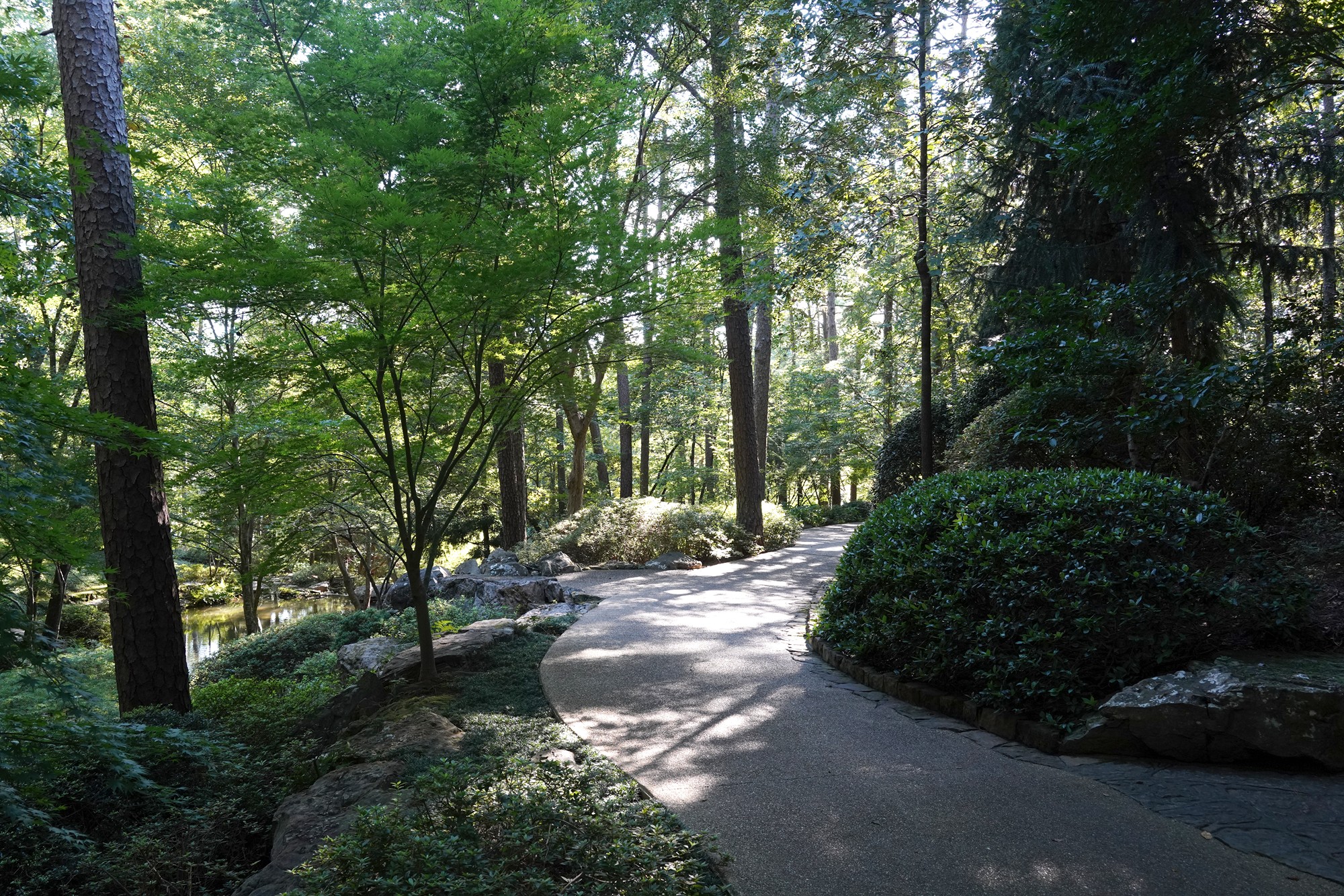 Garvan Woodland Gardens (10)