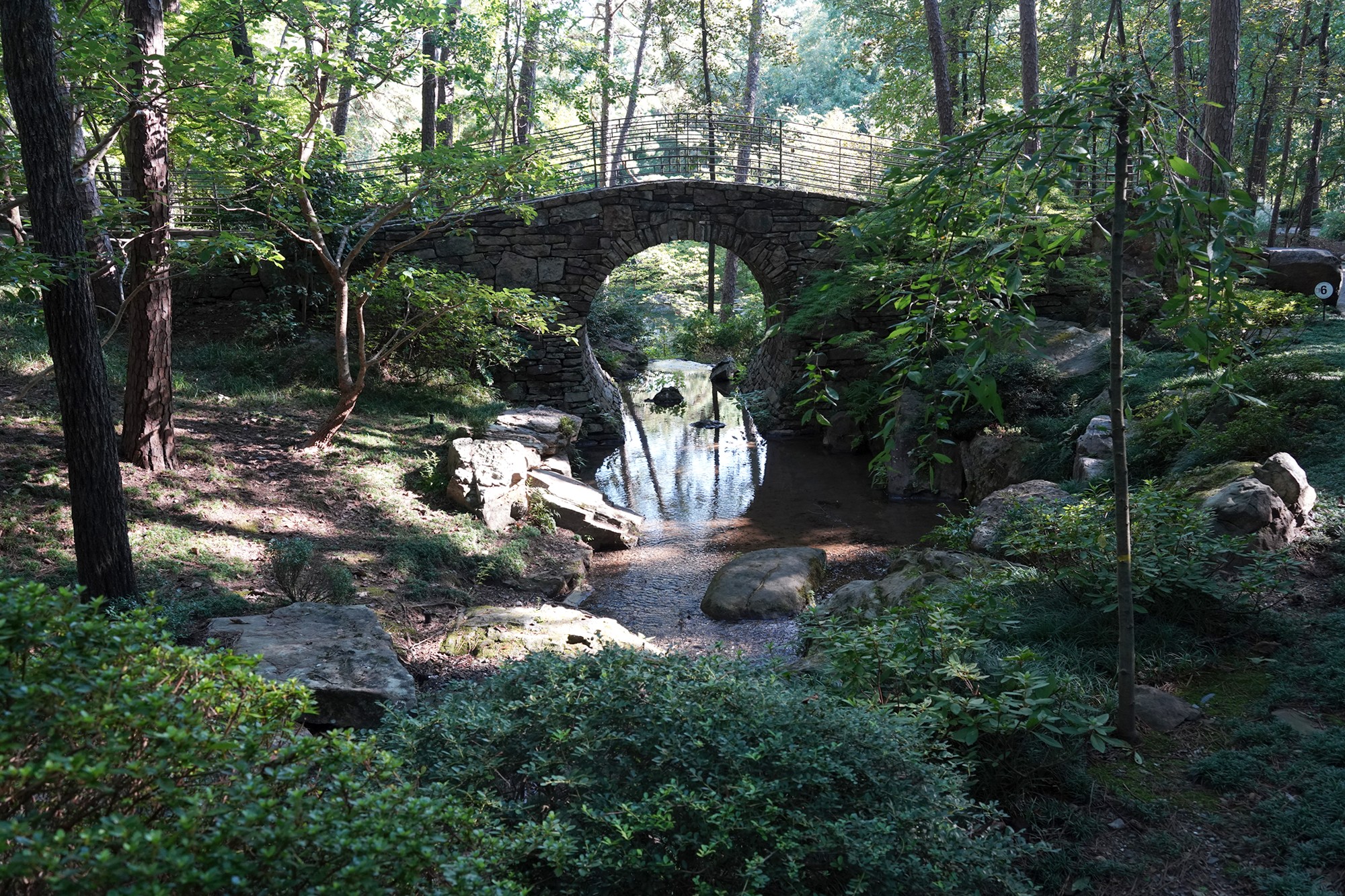 Garvan Woodland Gardens (11)