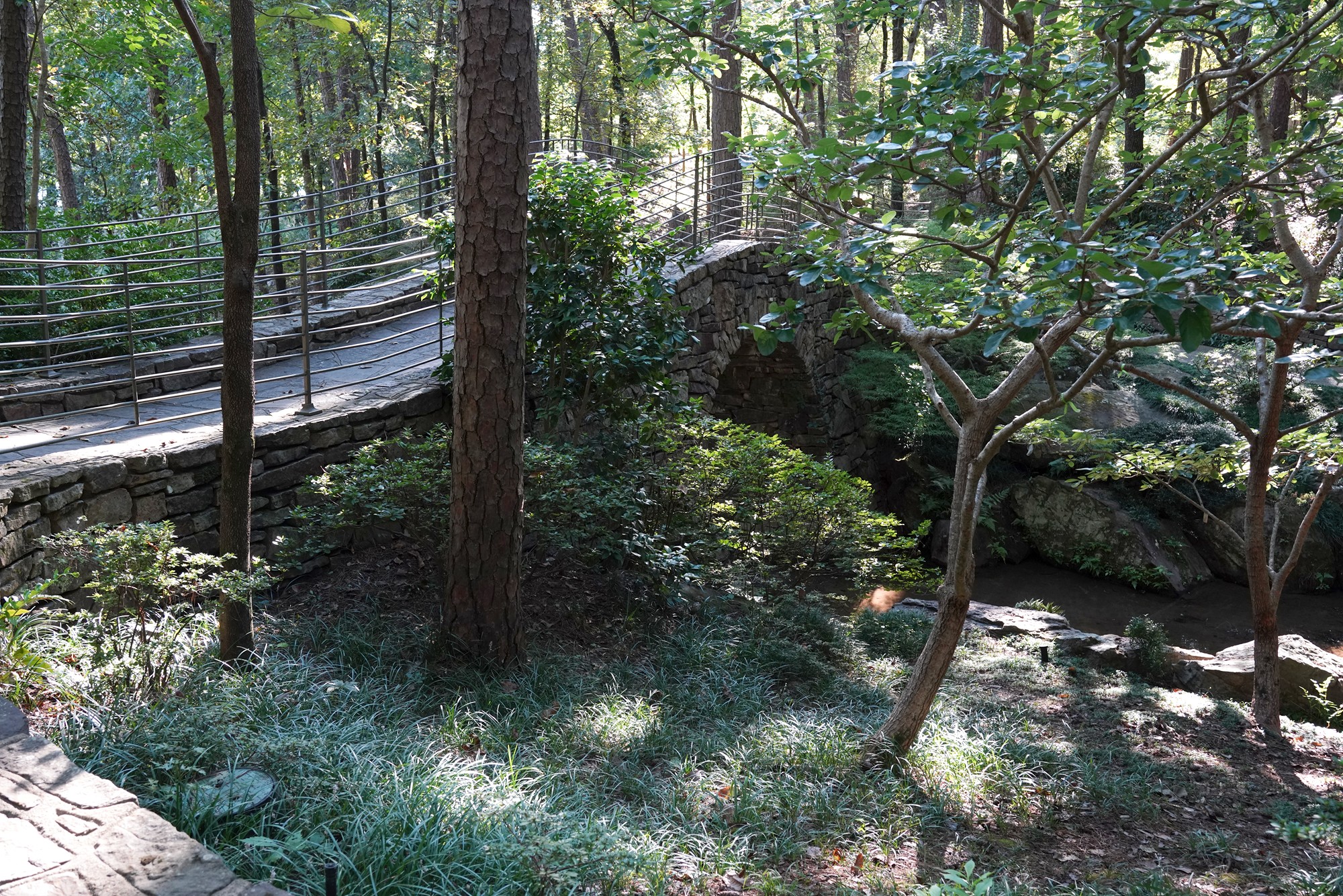 Garvan Woodland Gardens (12)