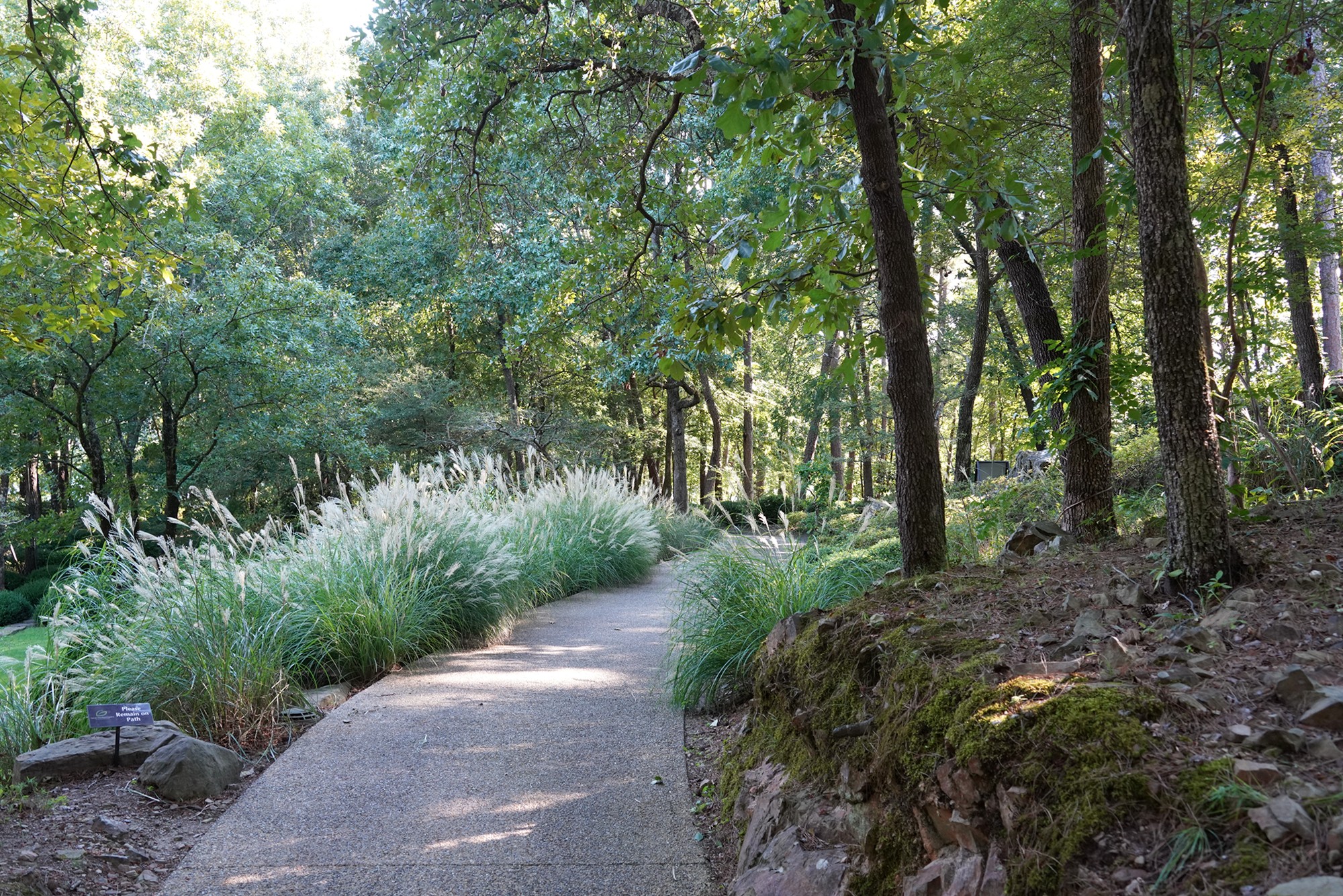 Garvan Woodland Gardens (13)
