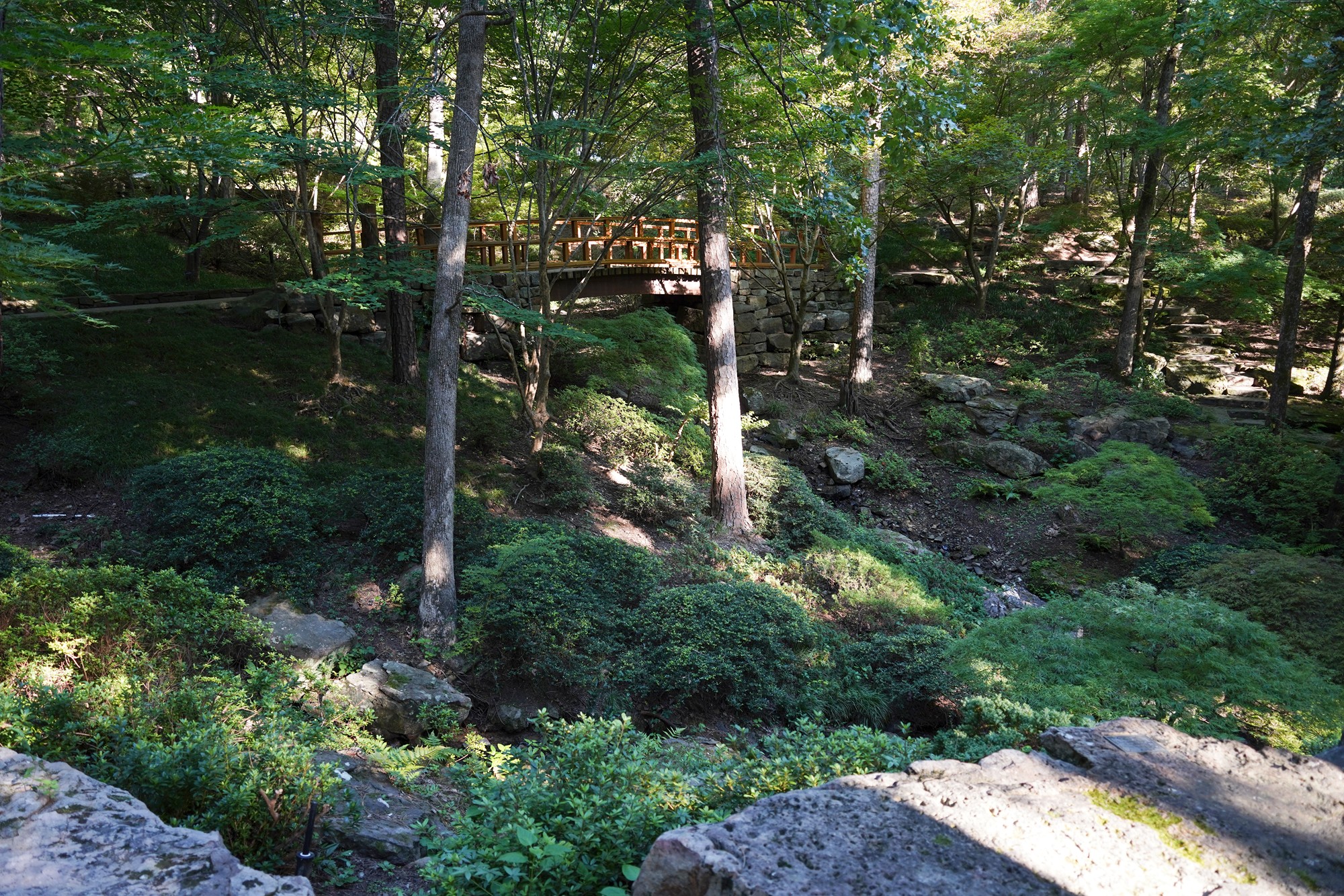 Garvan Woodland Gardens (15)