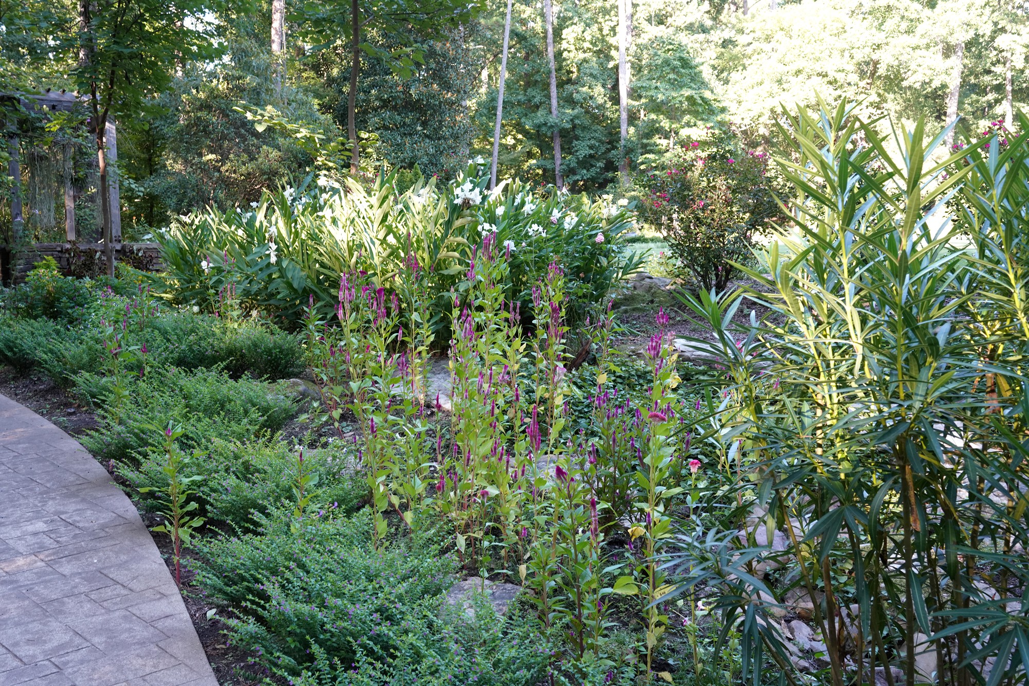 Garvan Woodland Gardens (19)