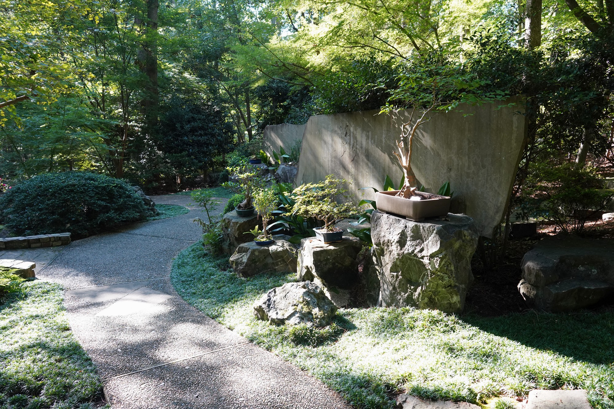 Garvan Woodland Gardens (3)