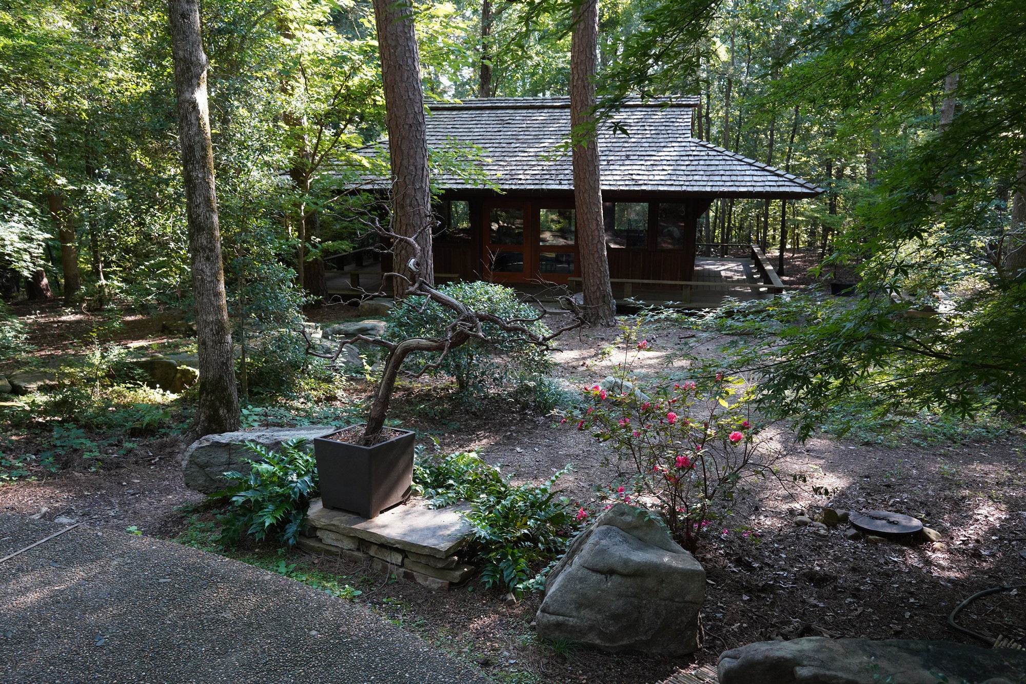 Garvan Woodland Gardens (5)