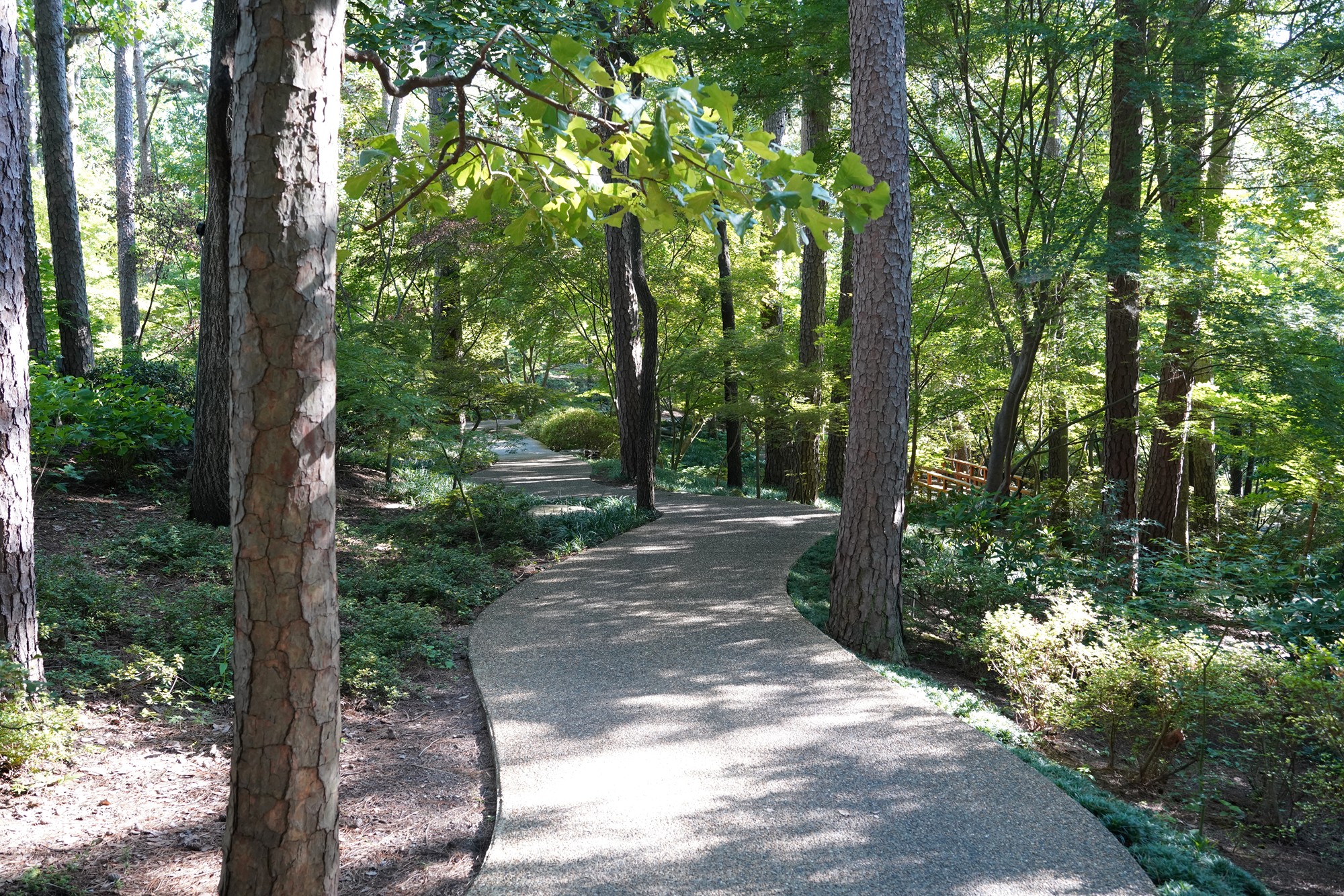 Garvan Woodland Gardens (6)